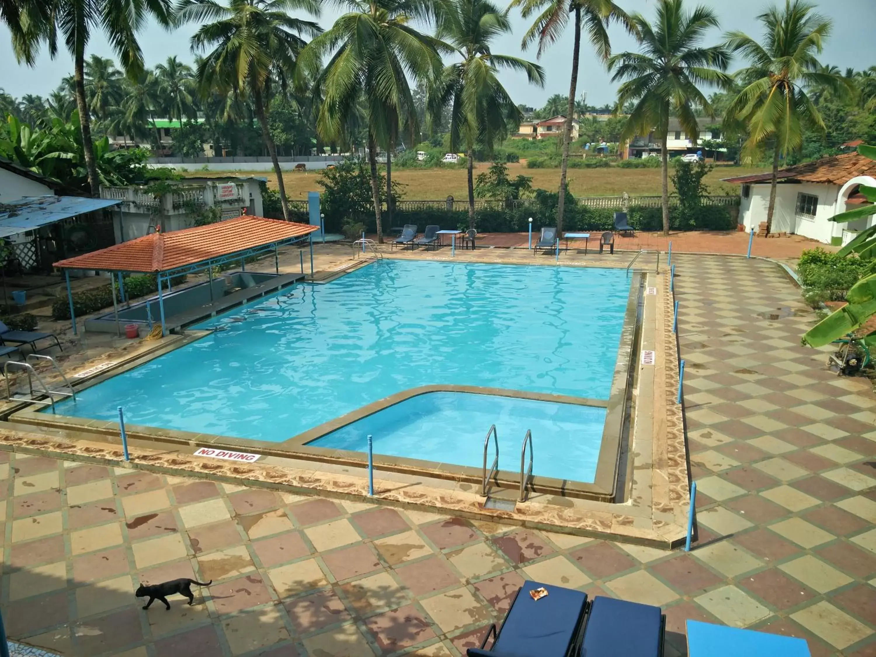 Swimming Pool in Williams Beach Retreat Swimming Pool in Williams Beach Retreat