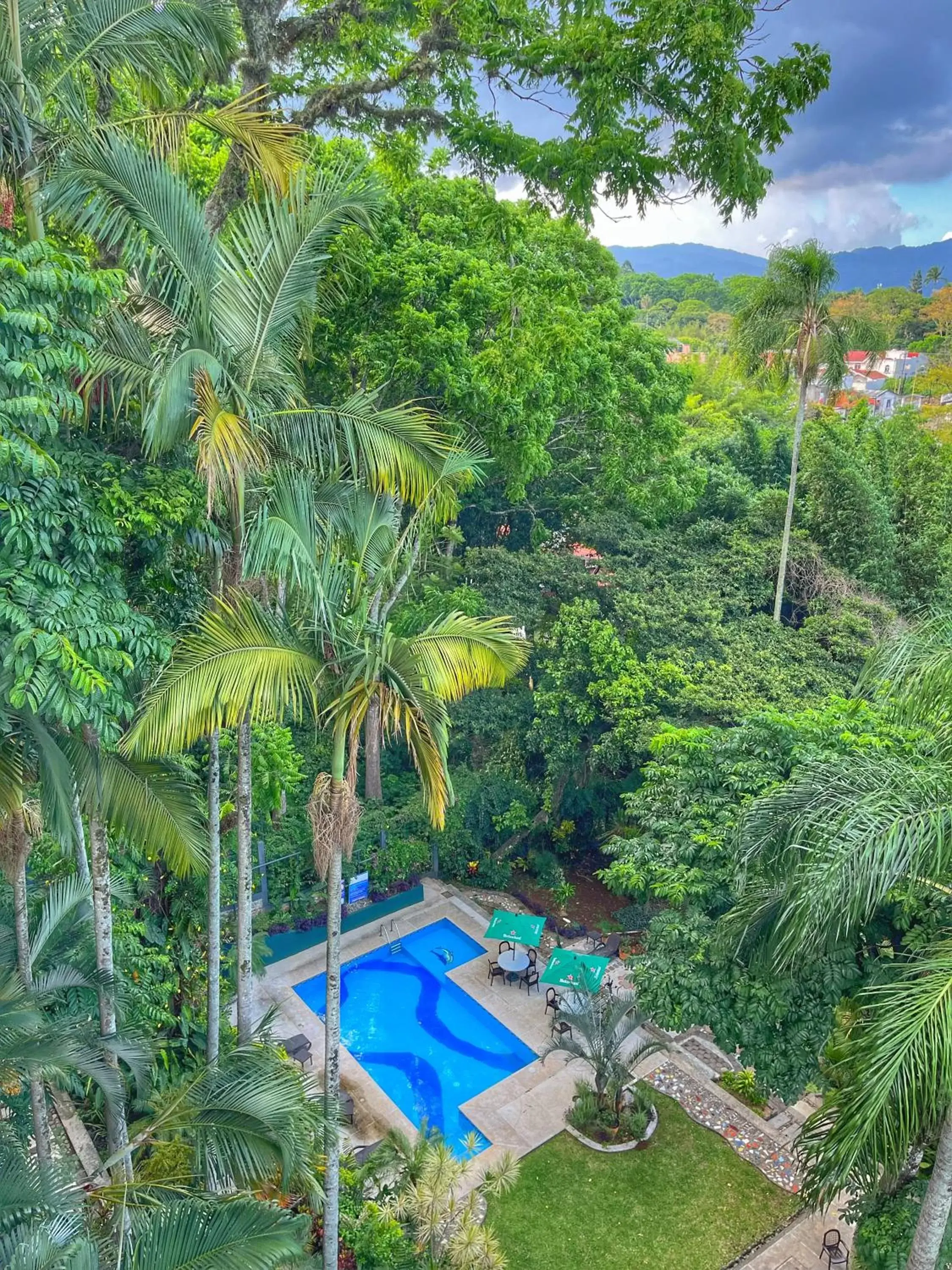 Swimming pool, Pool View in Comfort Inn Córdoba