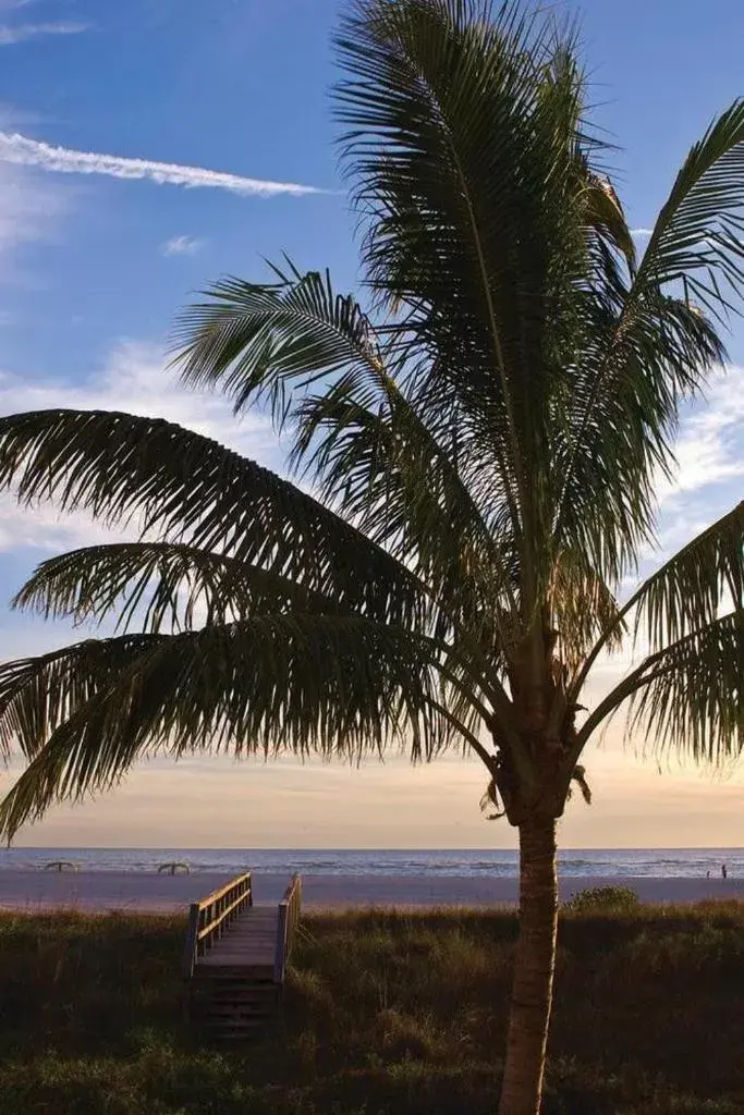 Beach in Residence Inn by Marriott St. Petersburg Treasure Island