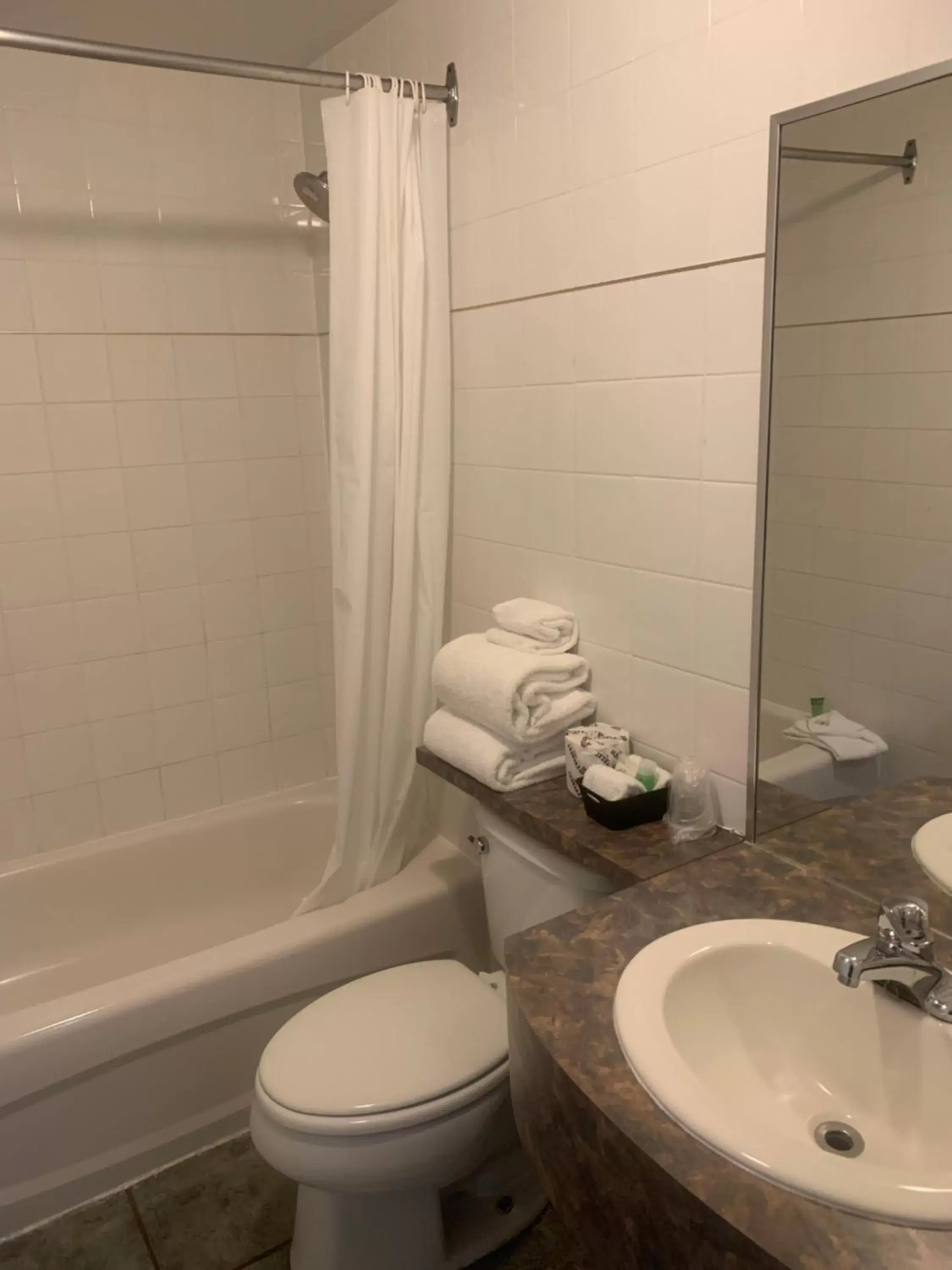 Bathroom in Hotel and Suites Les Laurentides