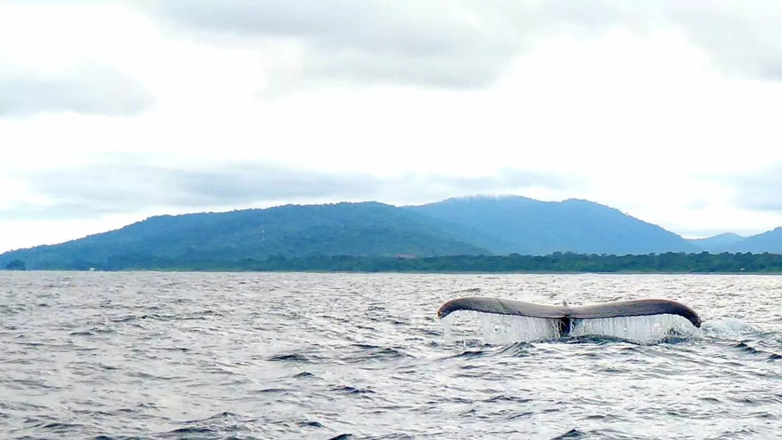 Activities in Posada Turística Rocas De Cabo Marzo