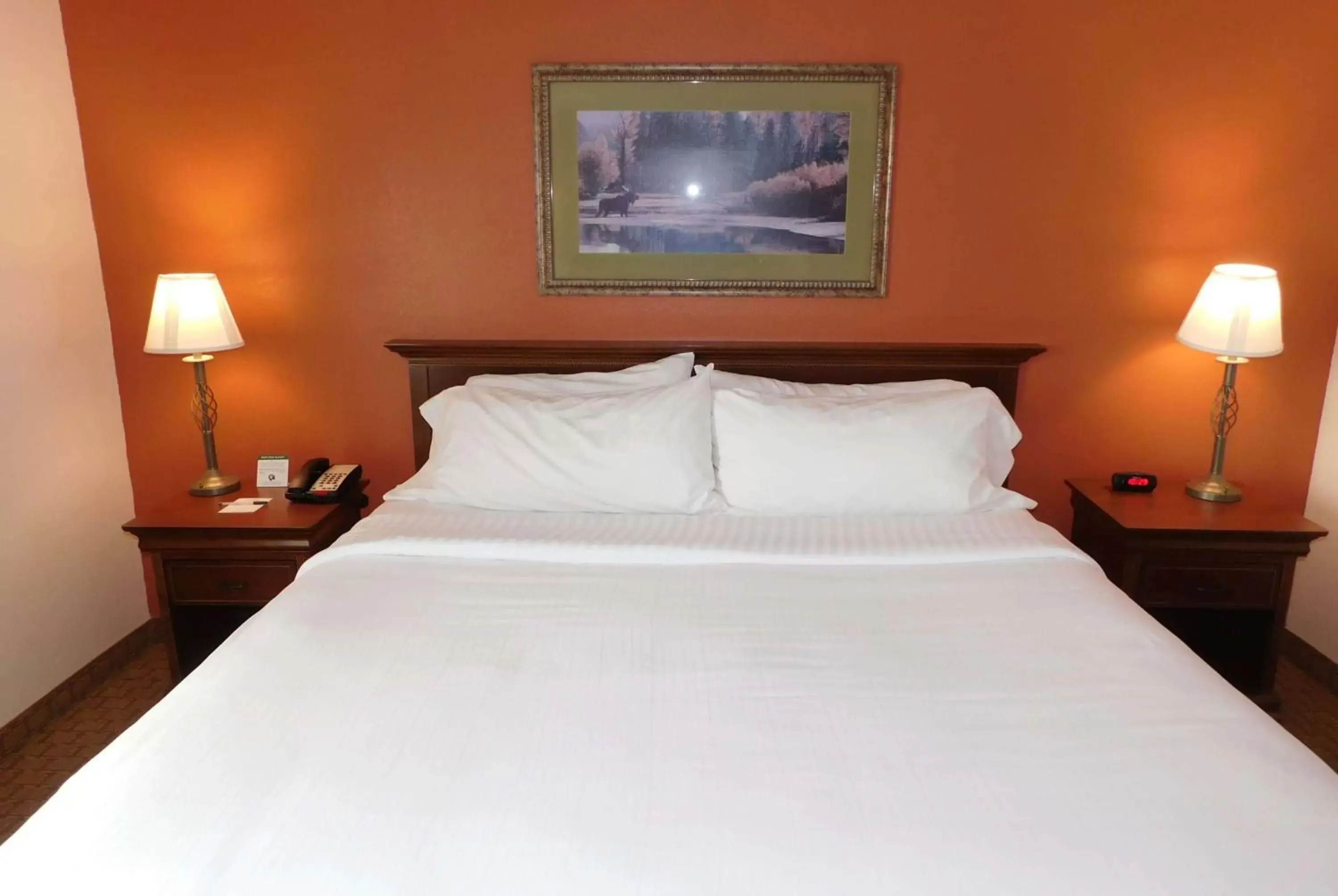 Photo of the whole room, Bed in Americinn by Wyndham Ogallala