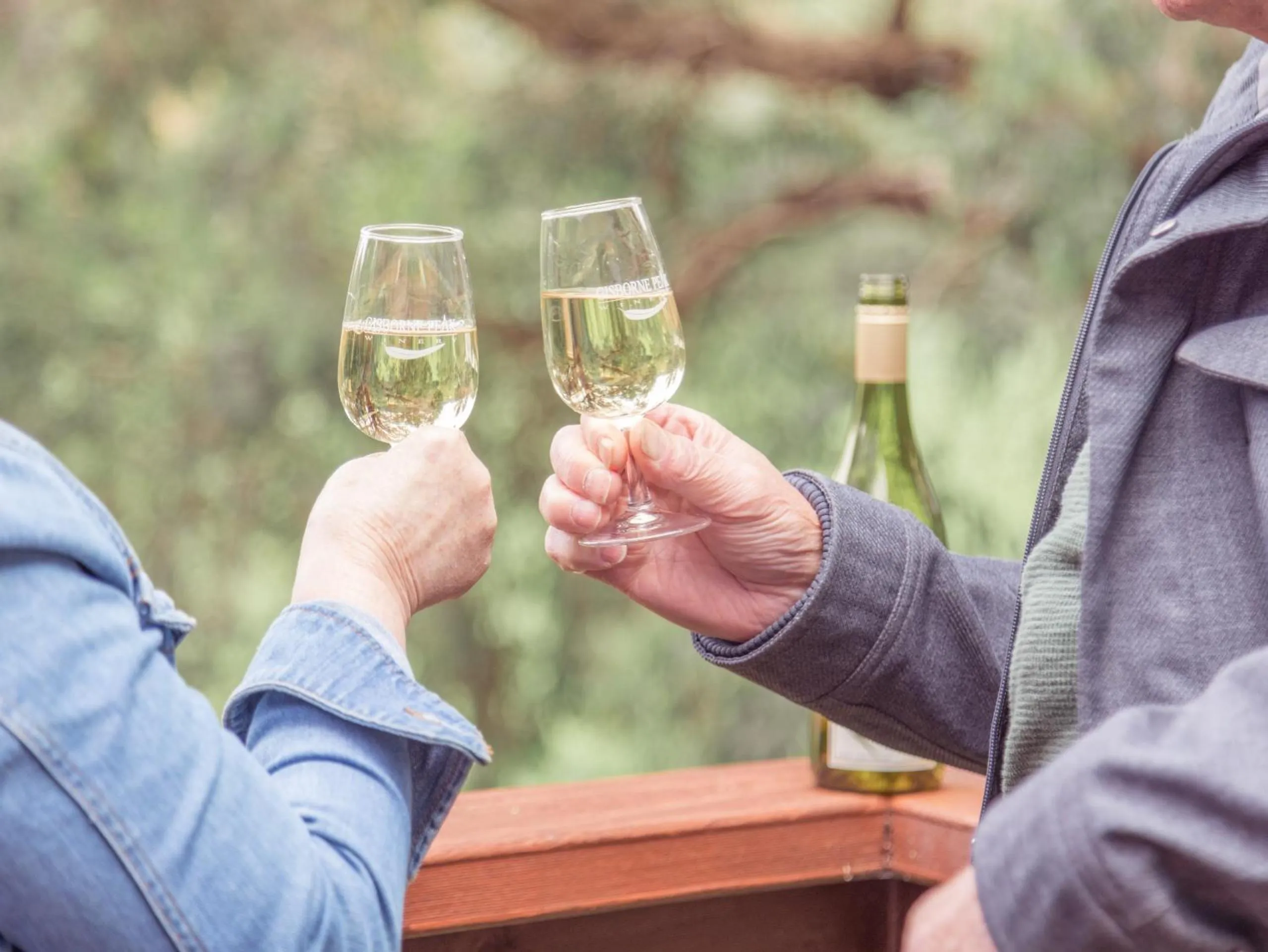 Gisborne Peak Winery Short Term Stays