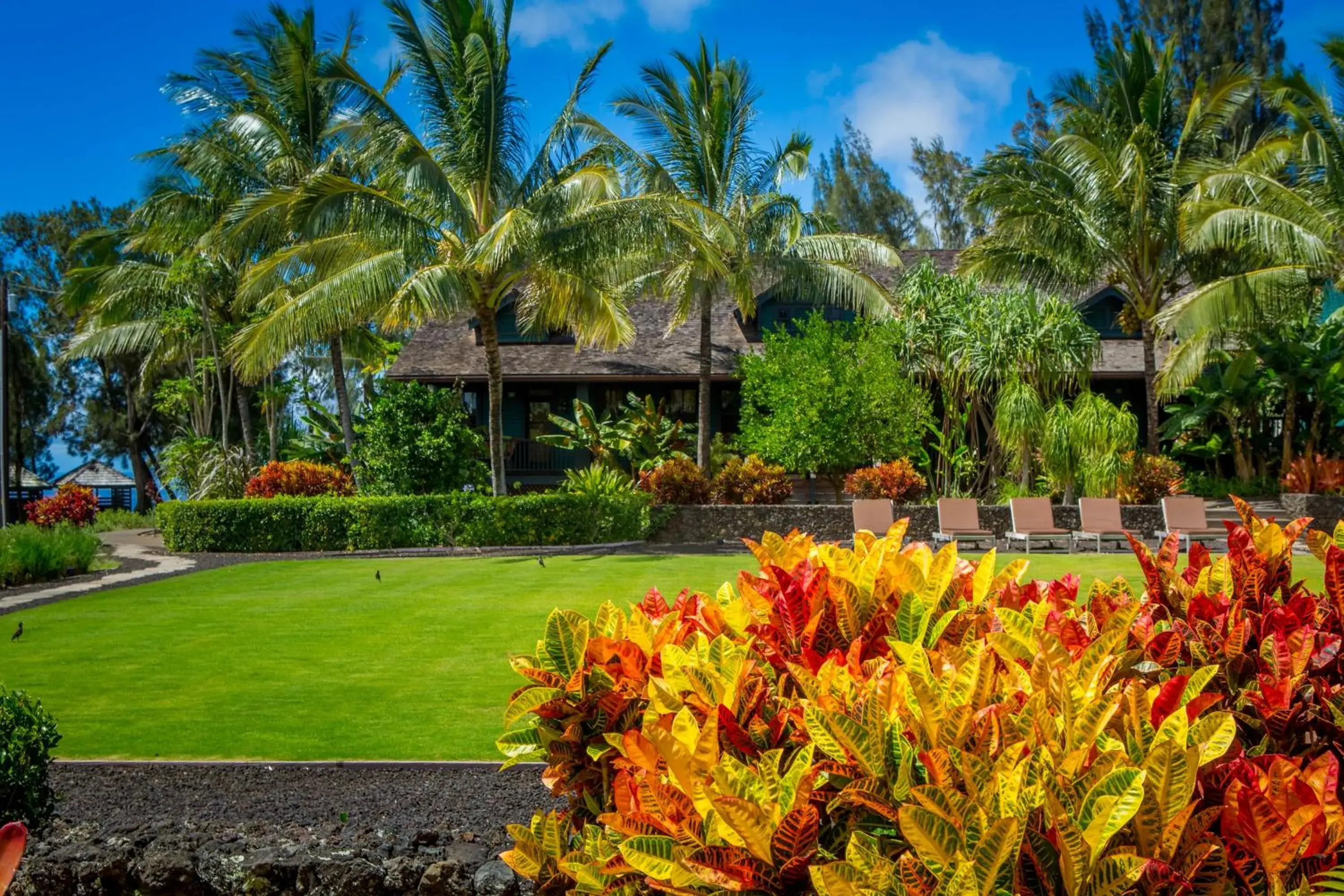 Garden in Lumeria Maui, Educational Retreat Center