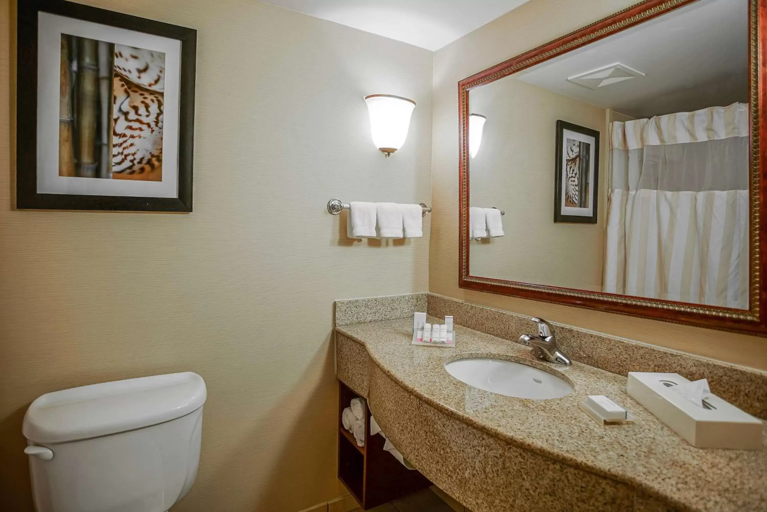 Bed, Bathroom in Hilton Garden Inn Kankakee