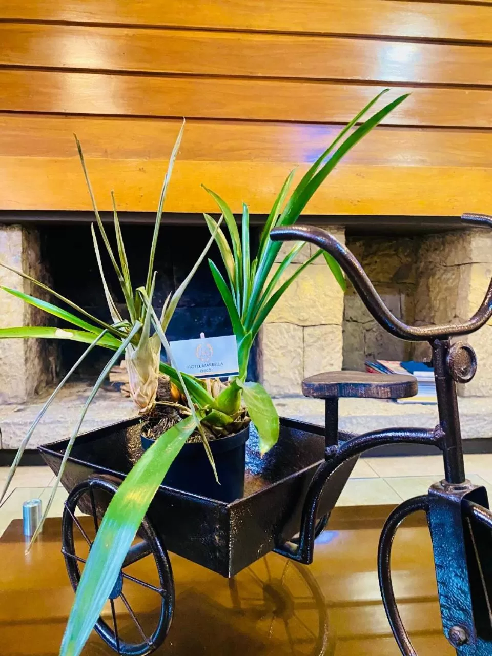 Lobby or reception in Hotel Marbella Chico