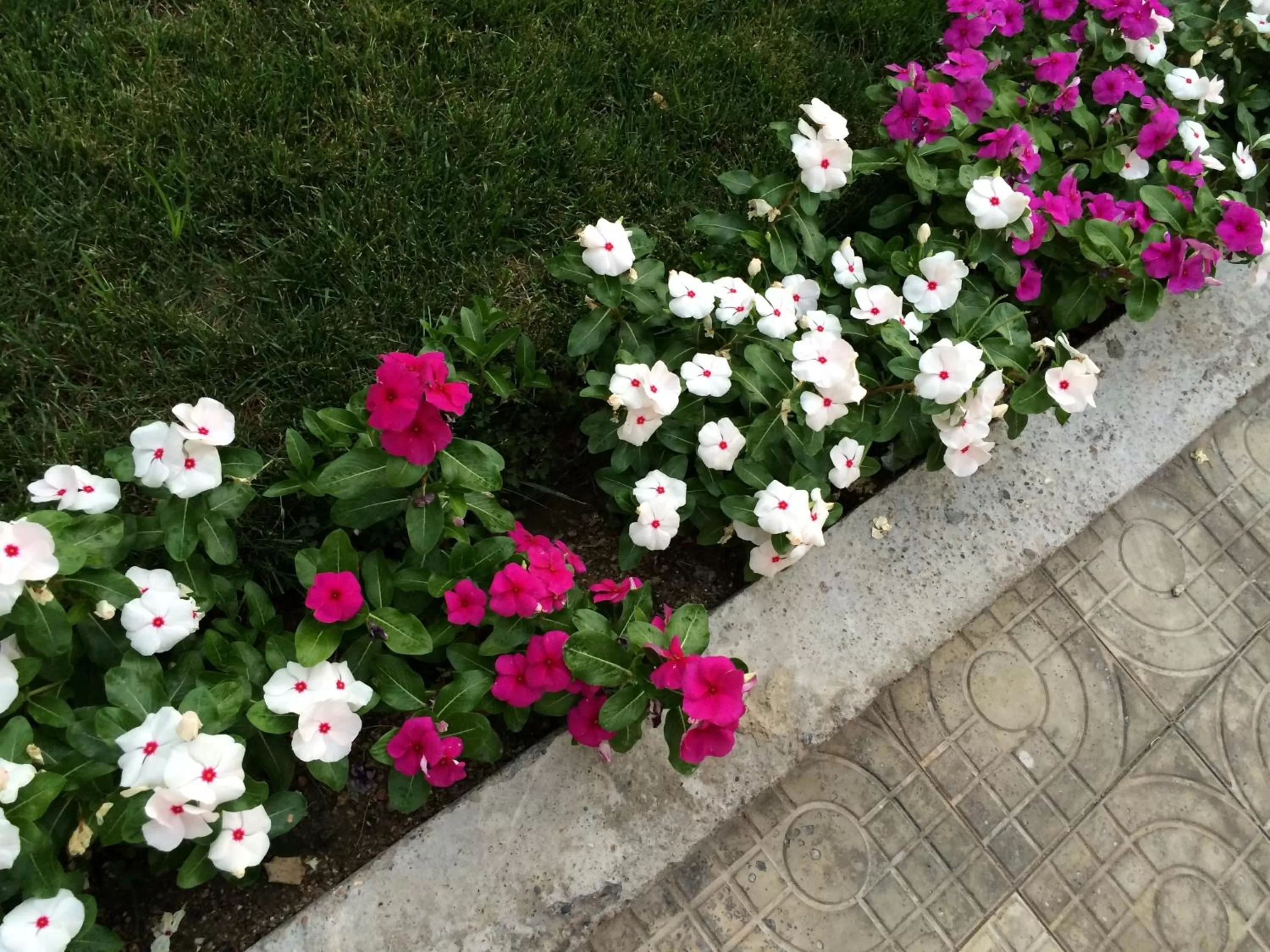 Summer in Armon Apart Hotel