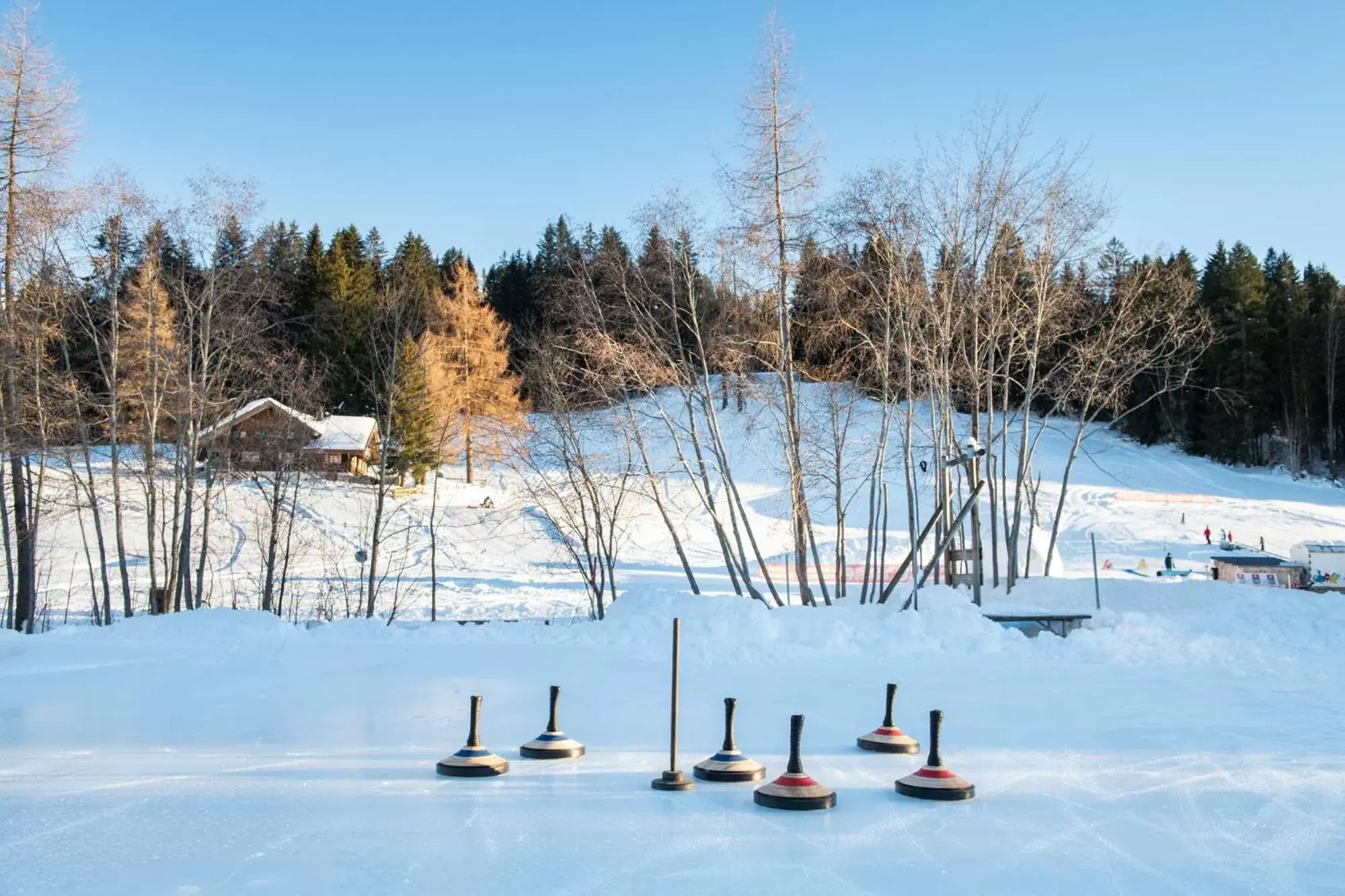 Garden, Winter in GOLFHOTEL Les Hauts de Gstaad & SPA