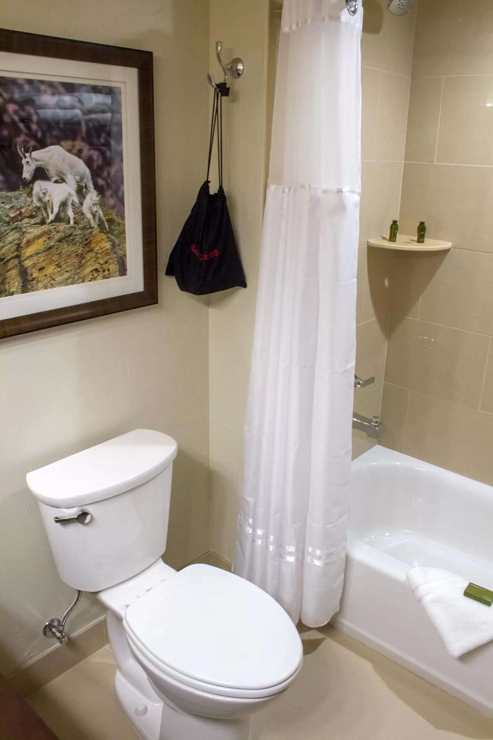 Bathroom in Cedar Creek Lodge & Conference Center