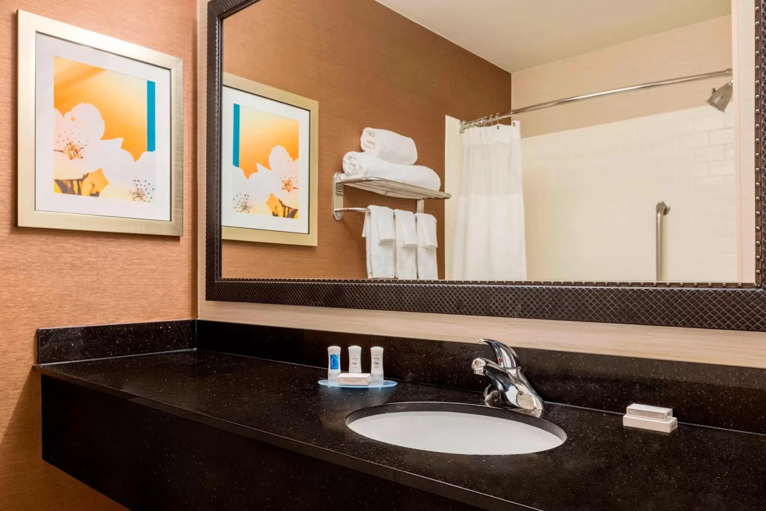 Bathroom in Fairfield Inn & Suites by Marriott Abilene