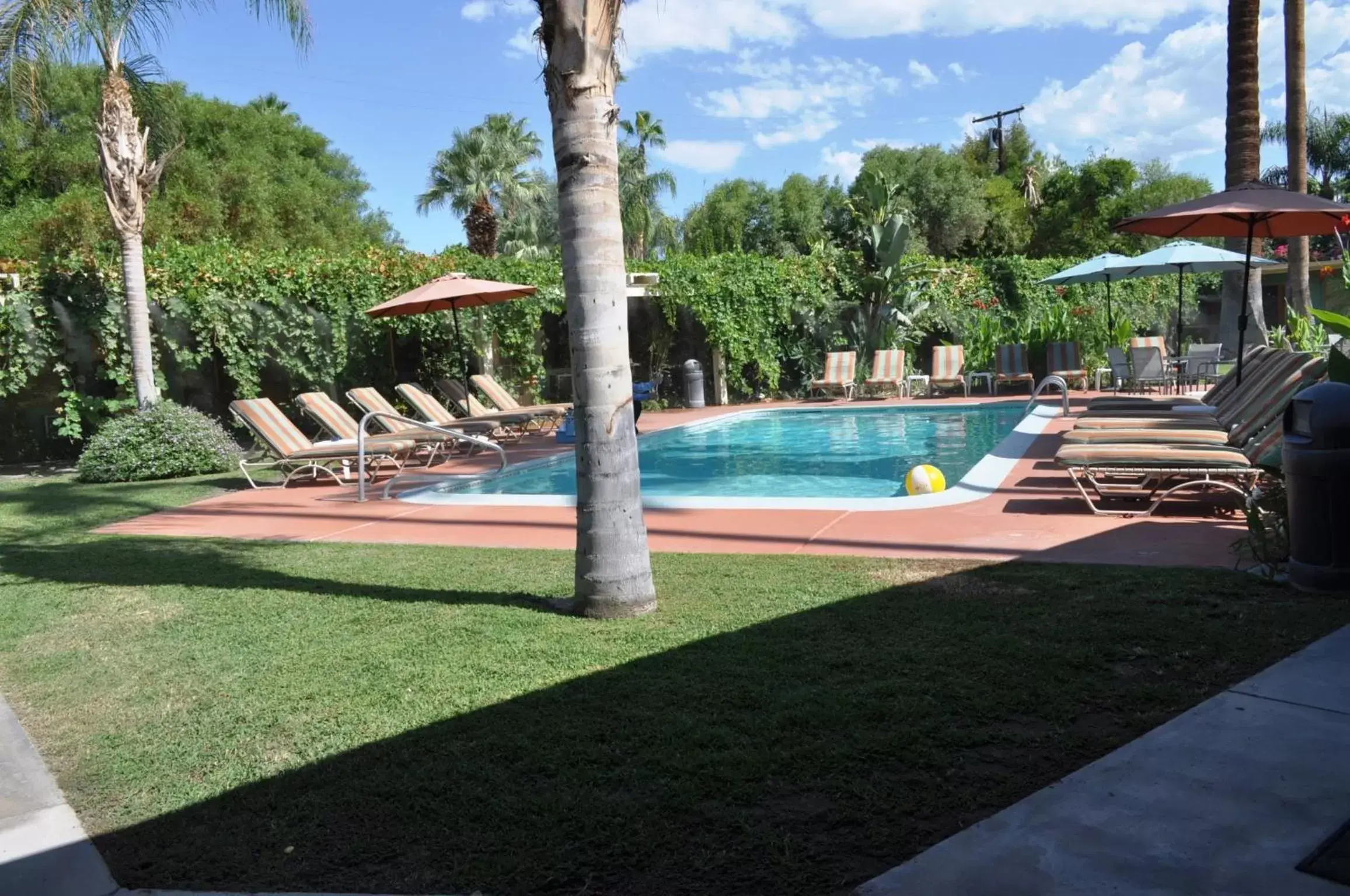 Swimming Pool in Vista Grande Resort - A Gay Men's Resort