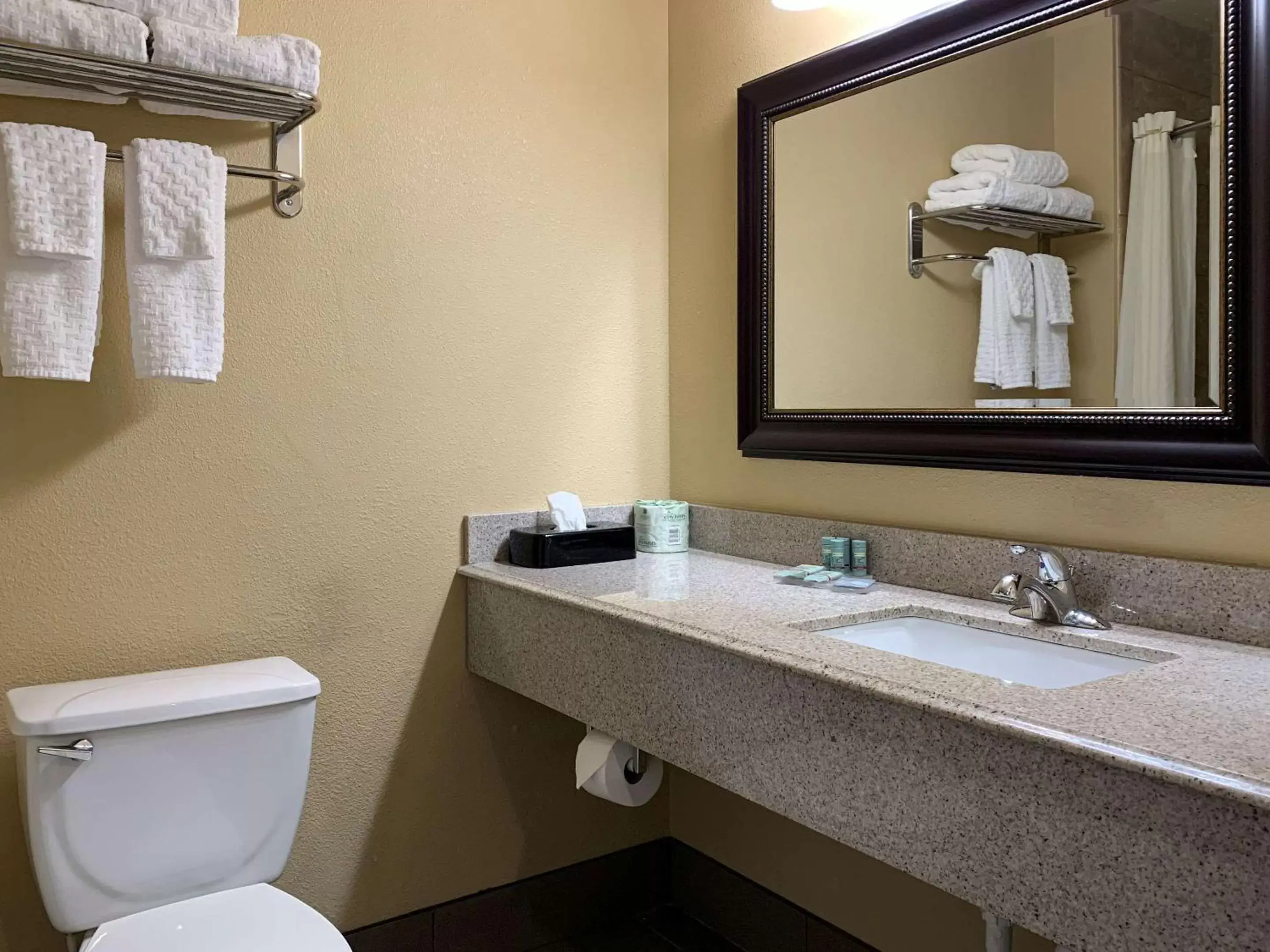 Bathroom in Comfort Inn Saint Paul East