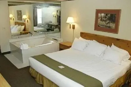 Photo of the whole room, Bed in Pellston Lodge