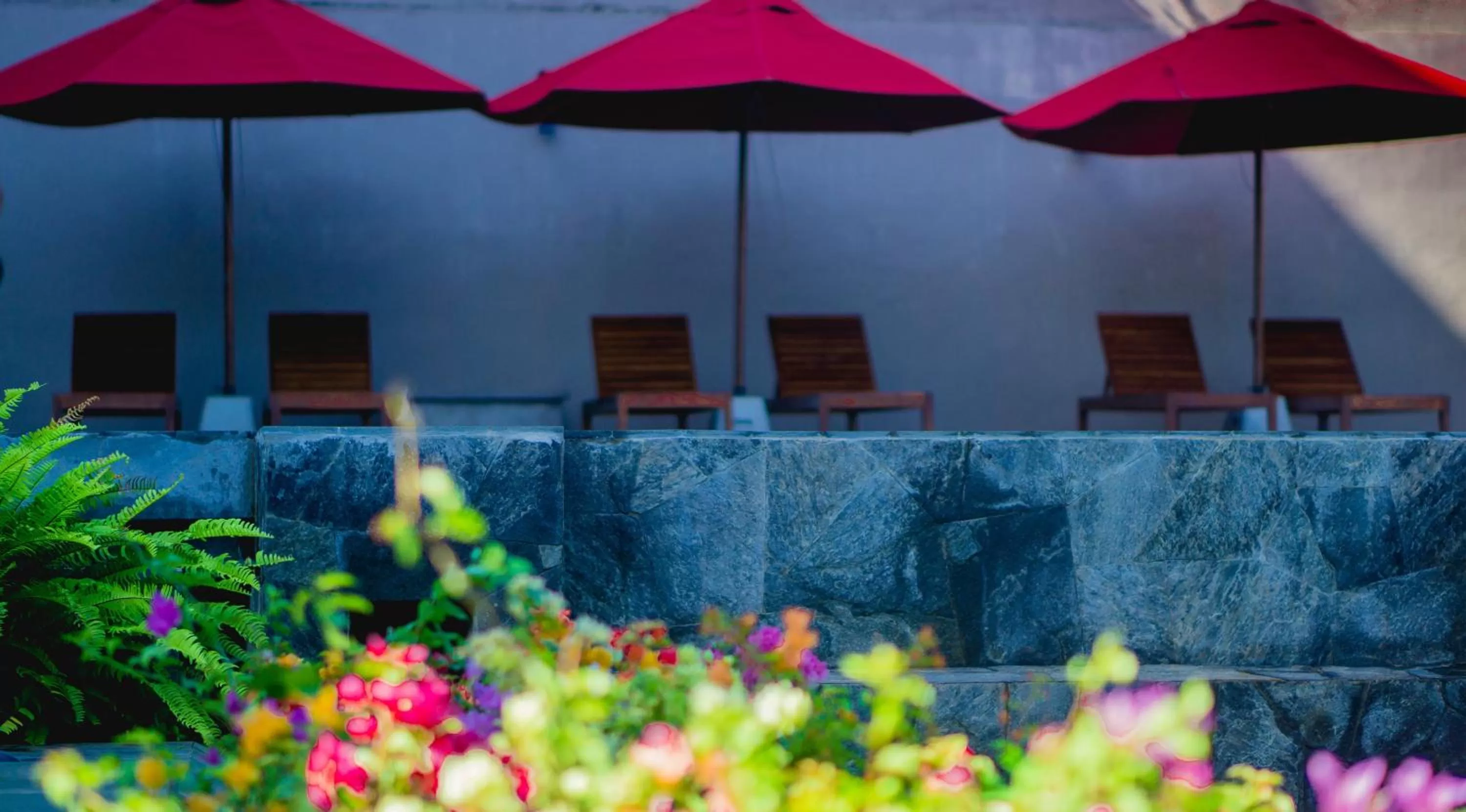 Swimming pool in Ballena Regency