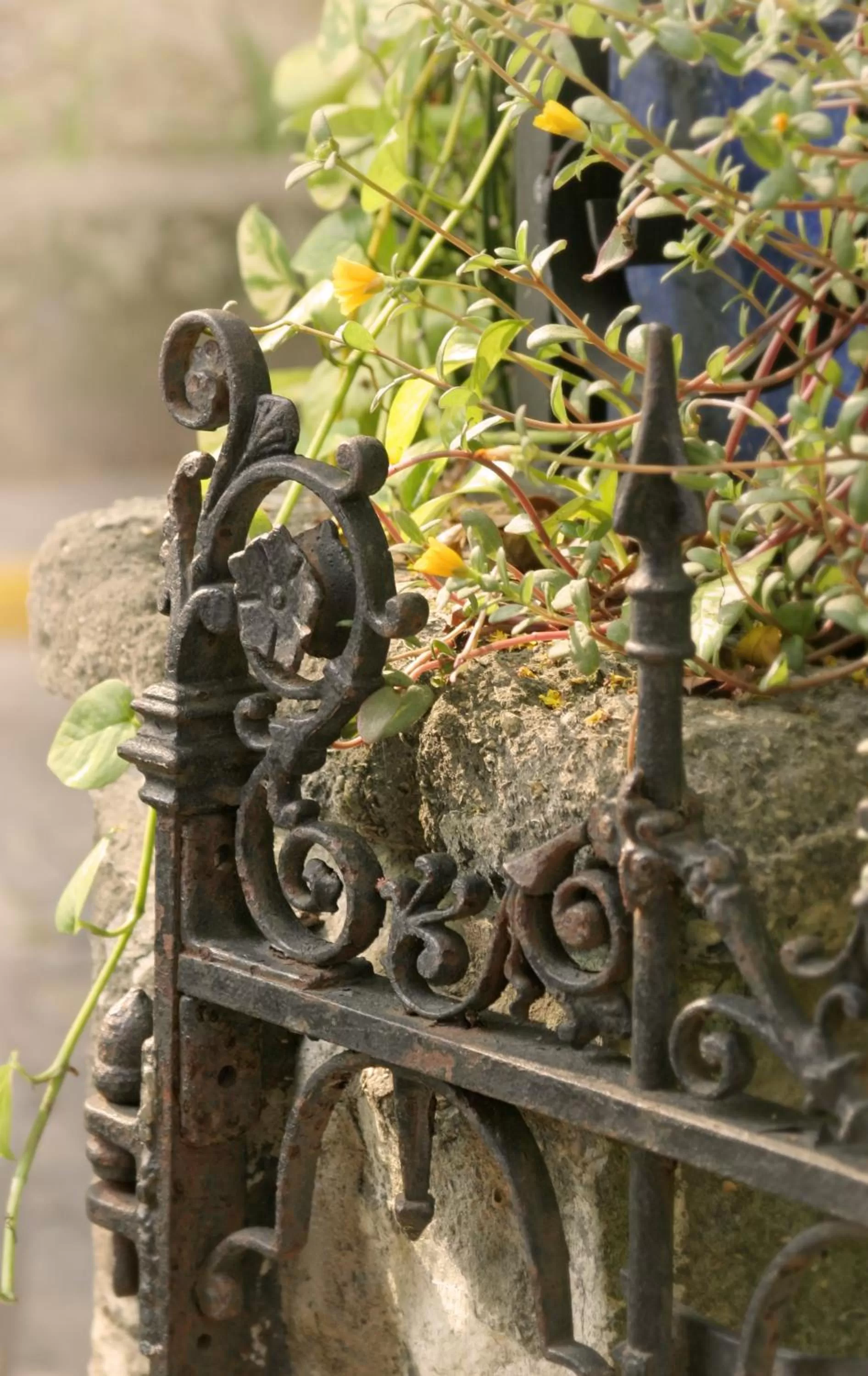 Facade/entrance in St. Francis Inn - Saint Augustine