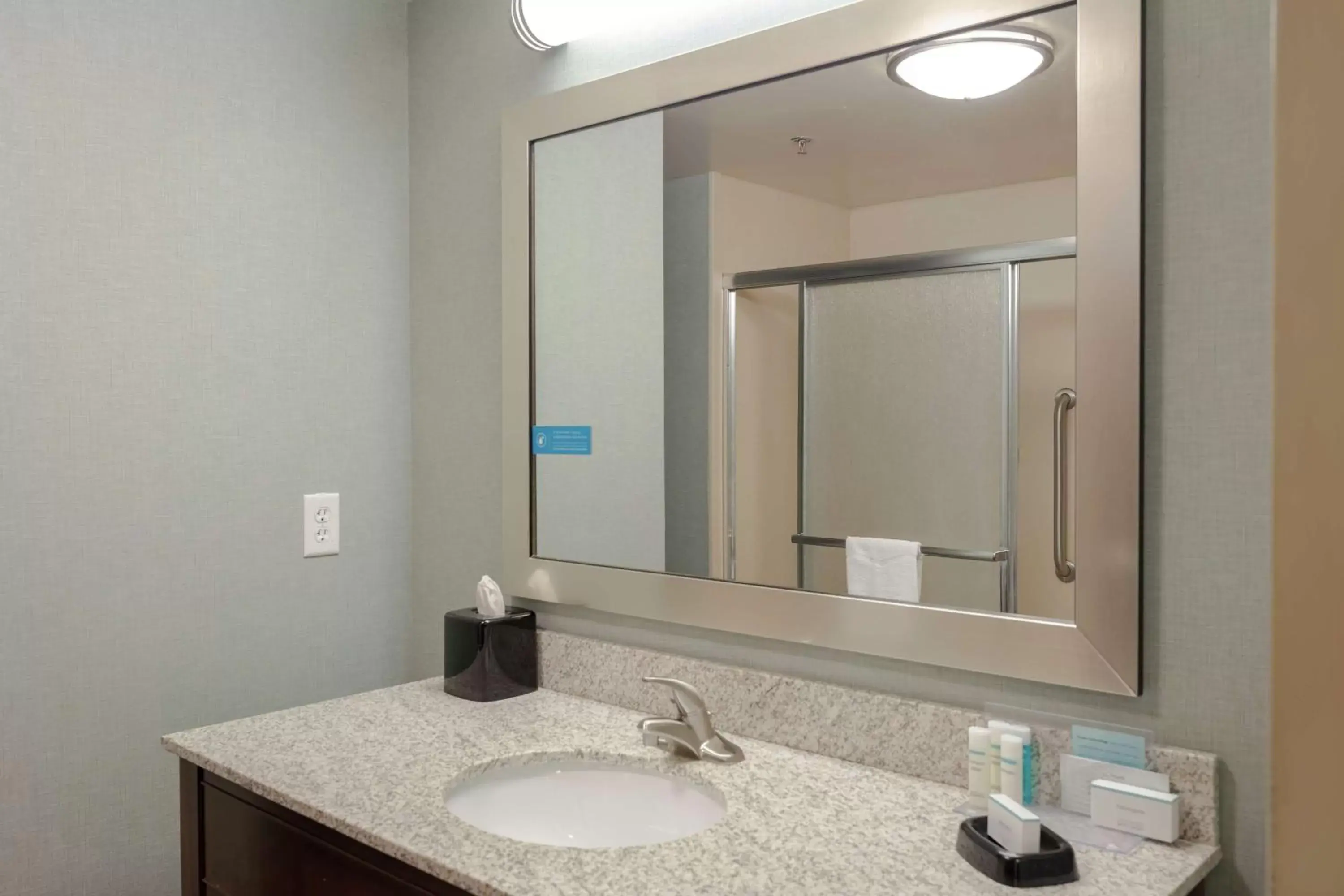 Bathroom in Hampton Inn and Suites Adairsville/Calhoun Area
