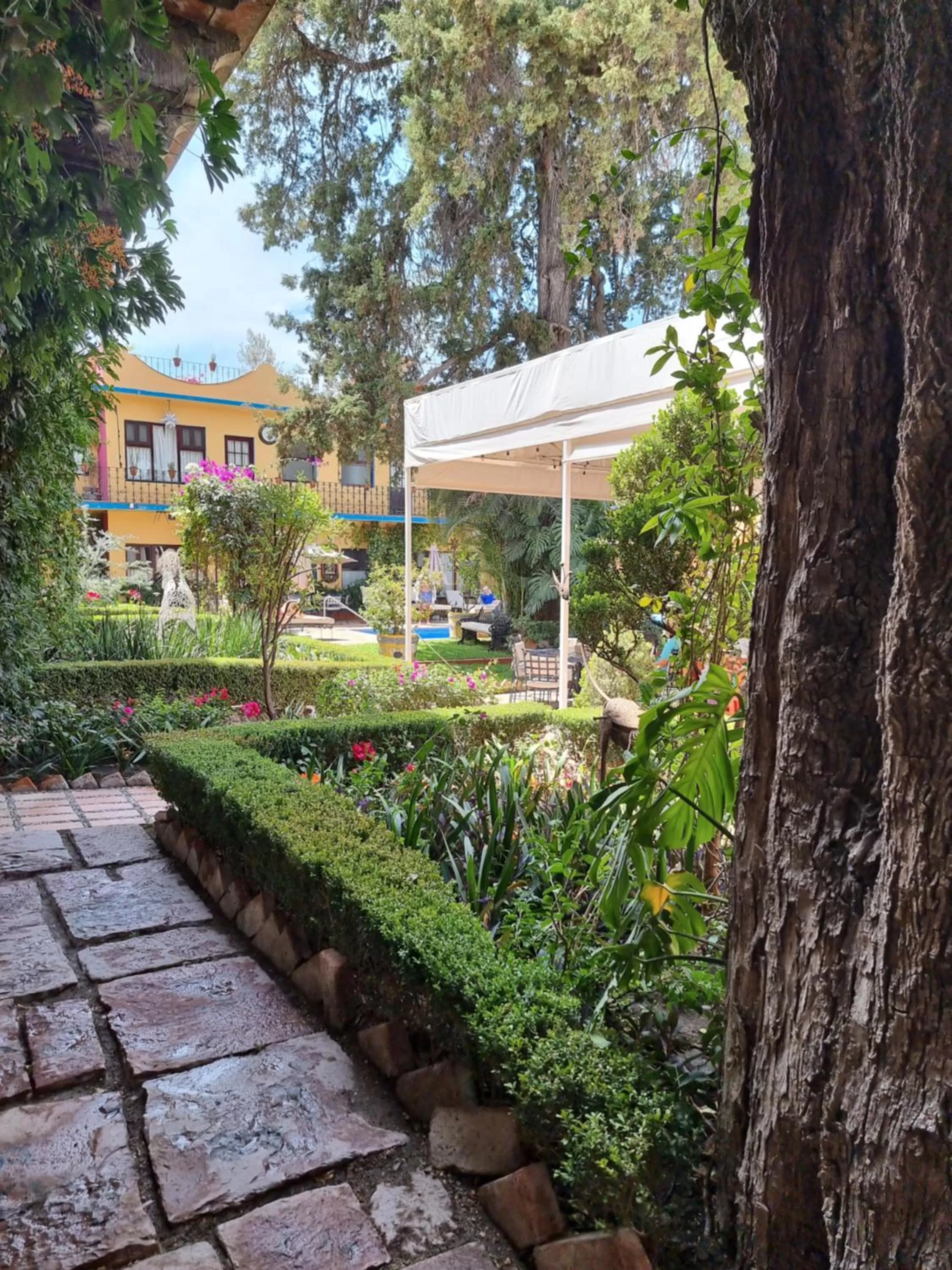 Garden view in Hacienda de las Flores