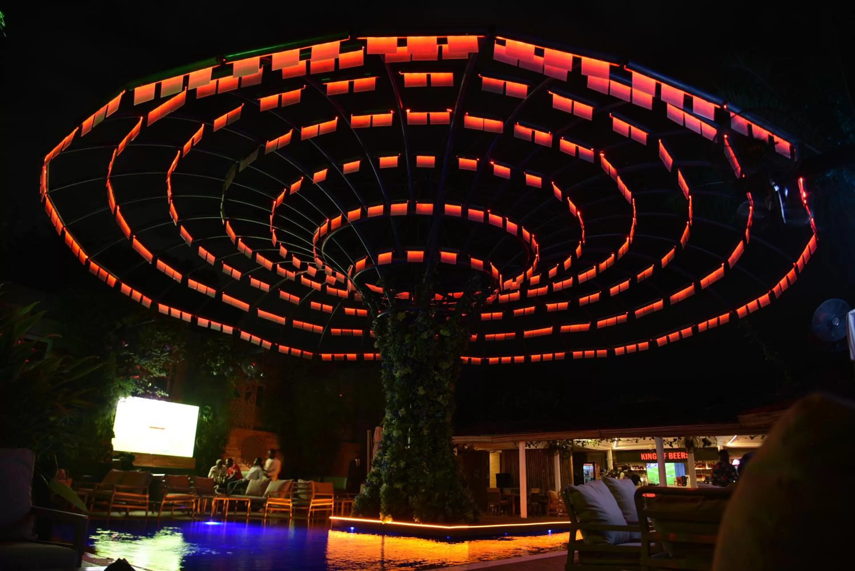 Night in The Blowfish Hotel