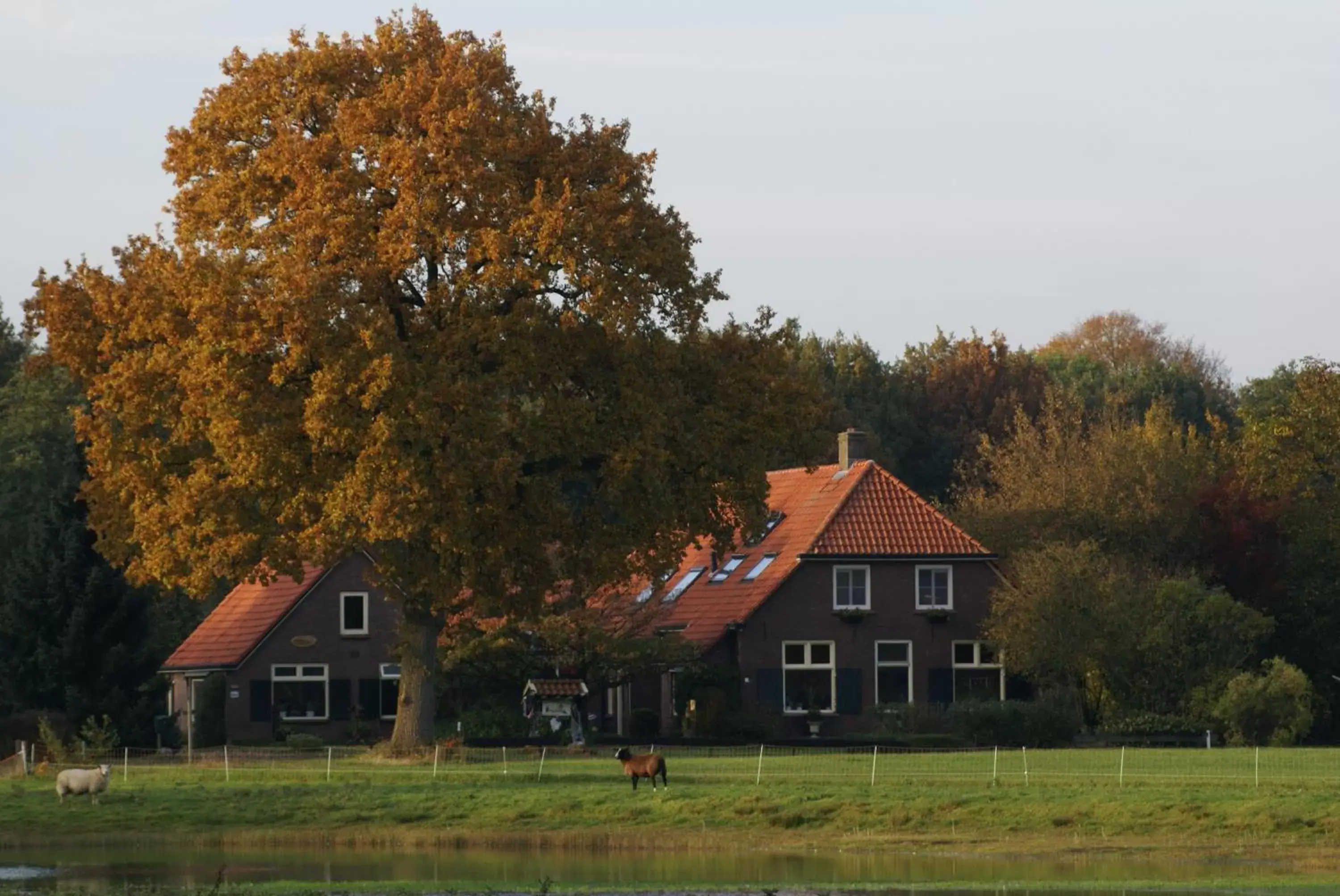 Autumn, Property Building in B&B Verwoldsehof