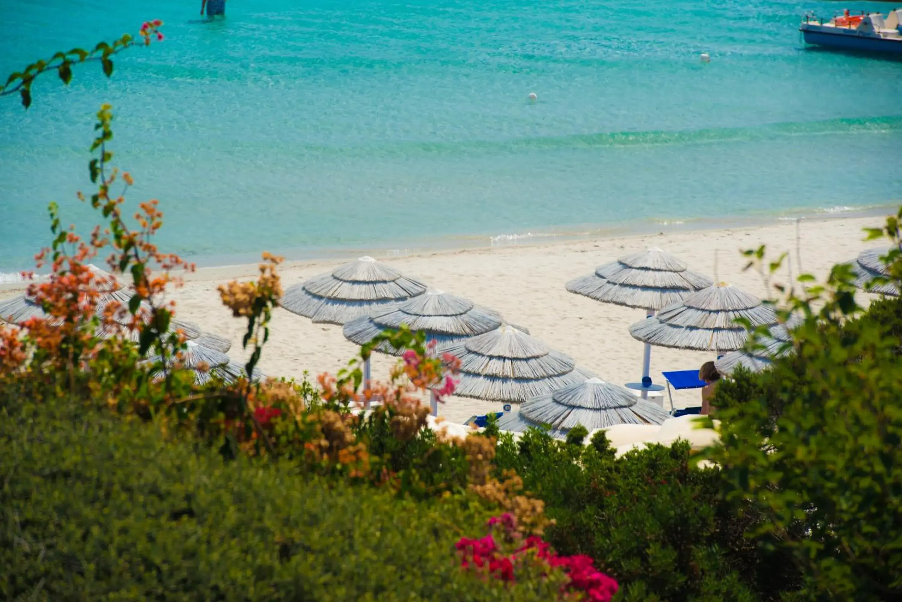 Day, Beach in Hotel Simius Playa