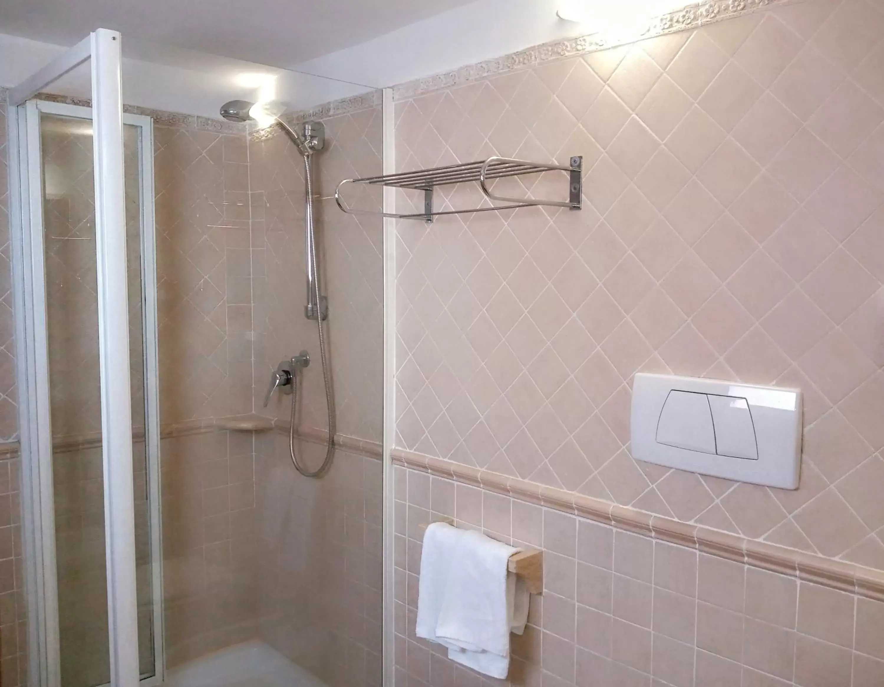 Toilet, Bathroom in Hotel Riviera Fiumicino