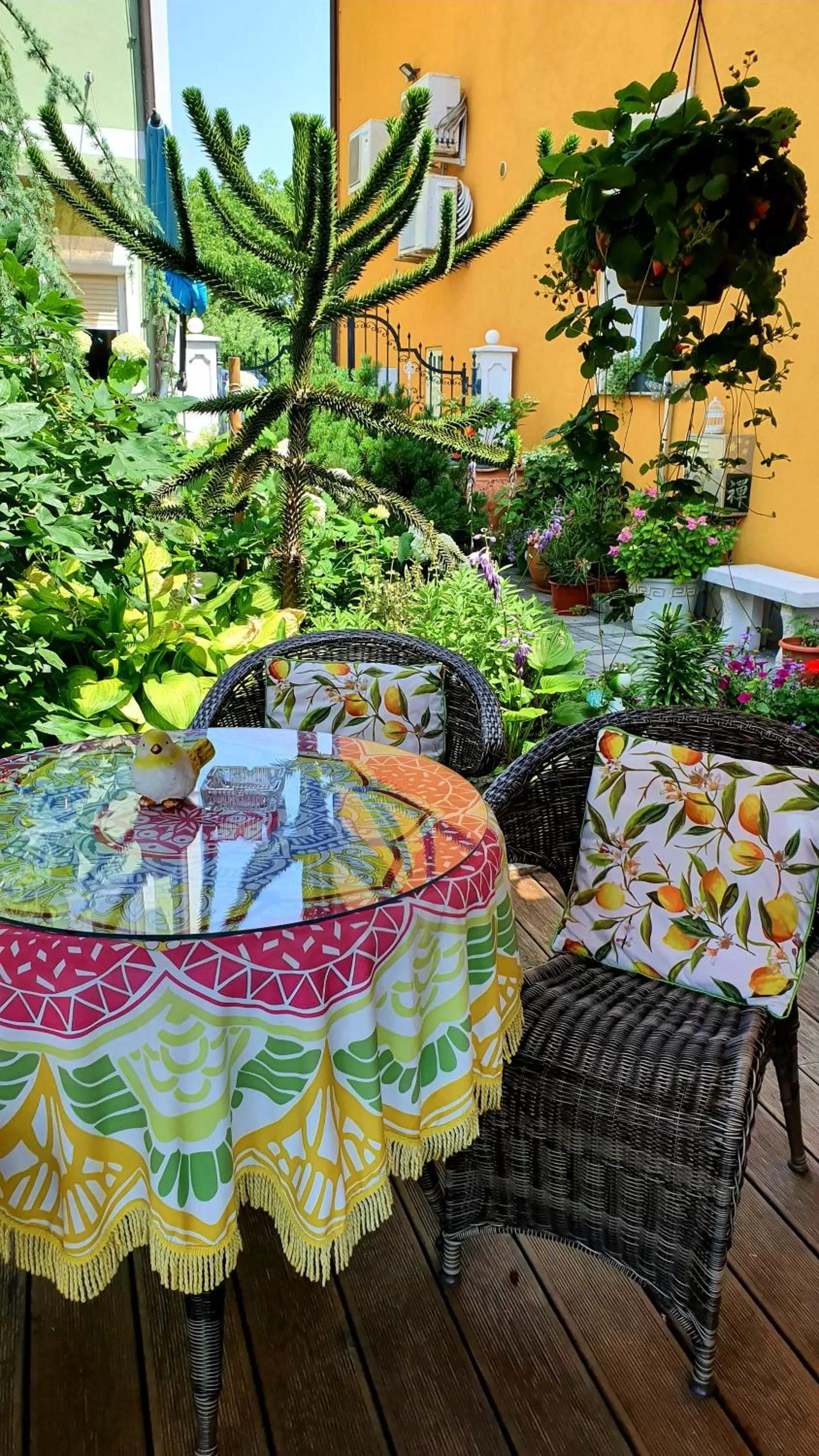 Garden in Hostel Sonce