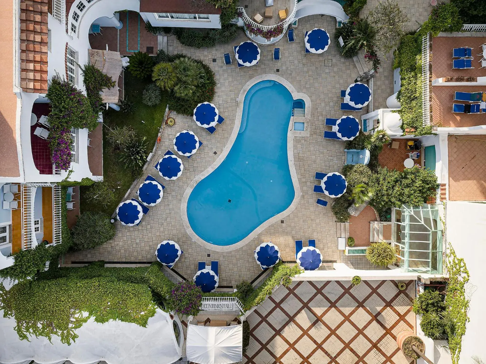 Swimming pool, Pool View in Hotel Continental Ischia