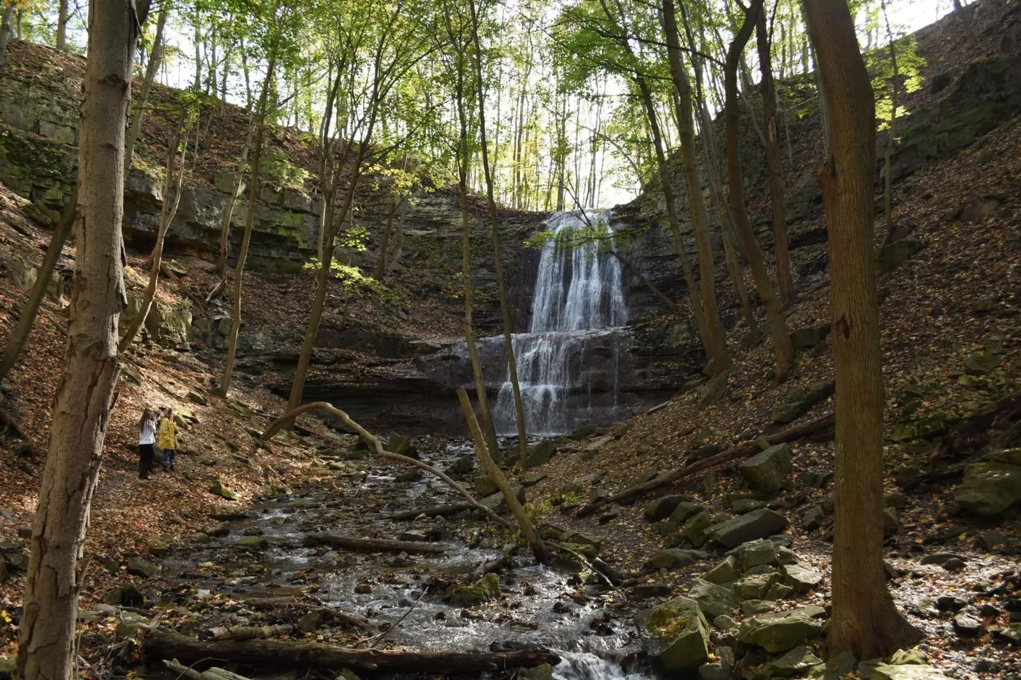 Area and facilities in Staybridge Suites Hamilton - Downtown by IHG