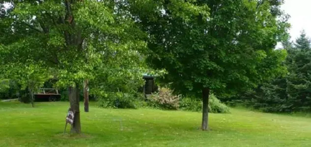 Garden in The South Glenora Tree Farm