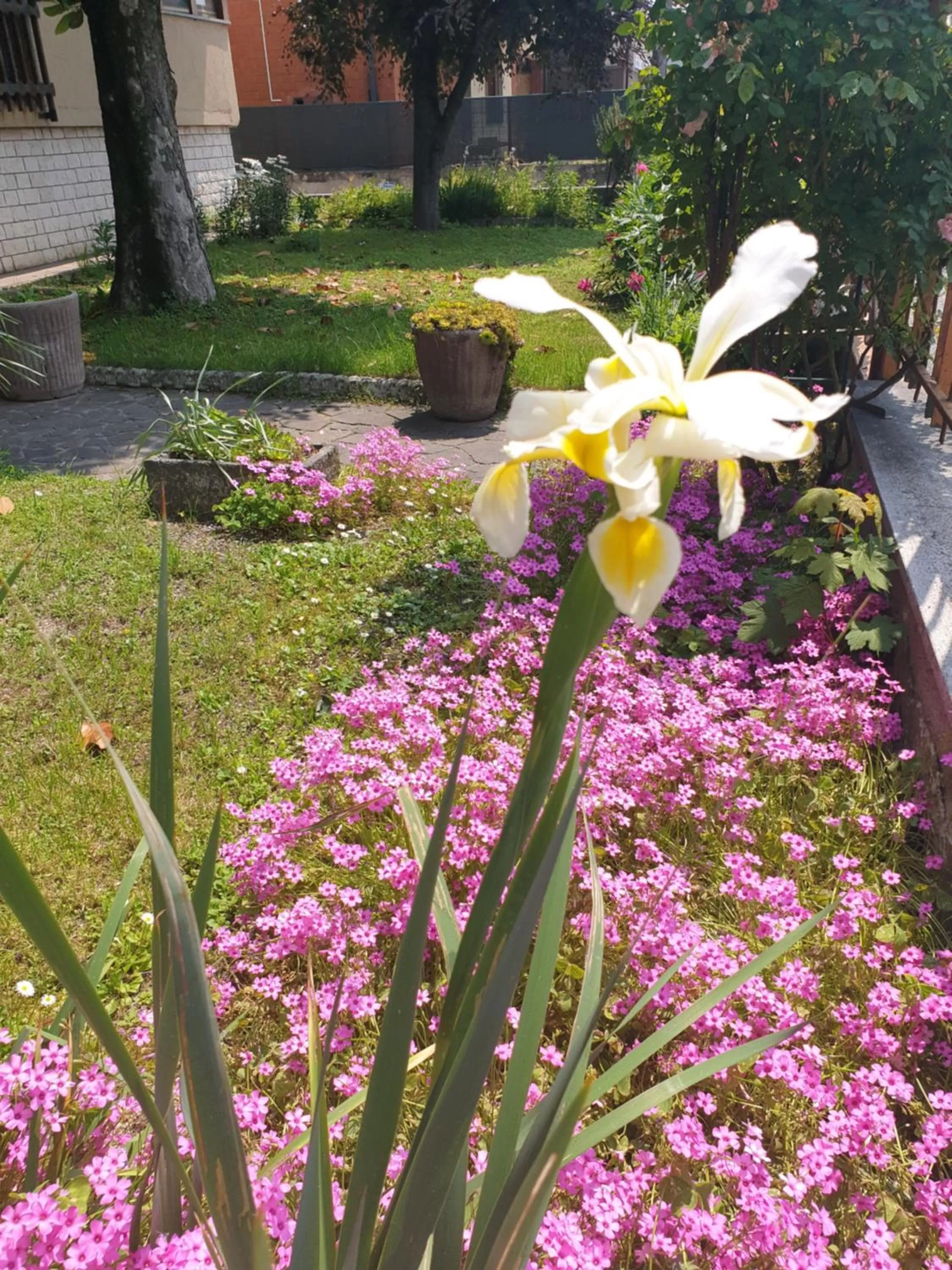 Garden in B&B Family Home