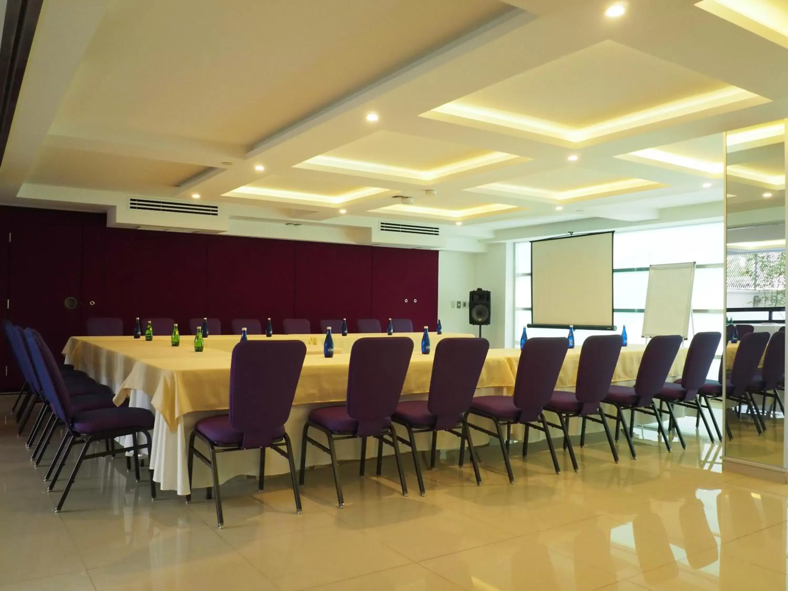 Meeting/conference room in Hotel Marbella
