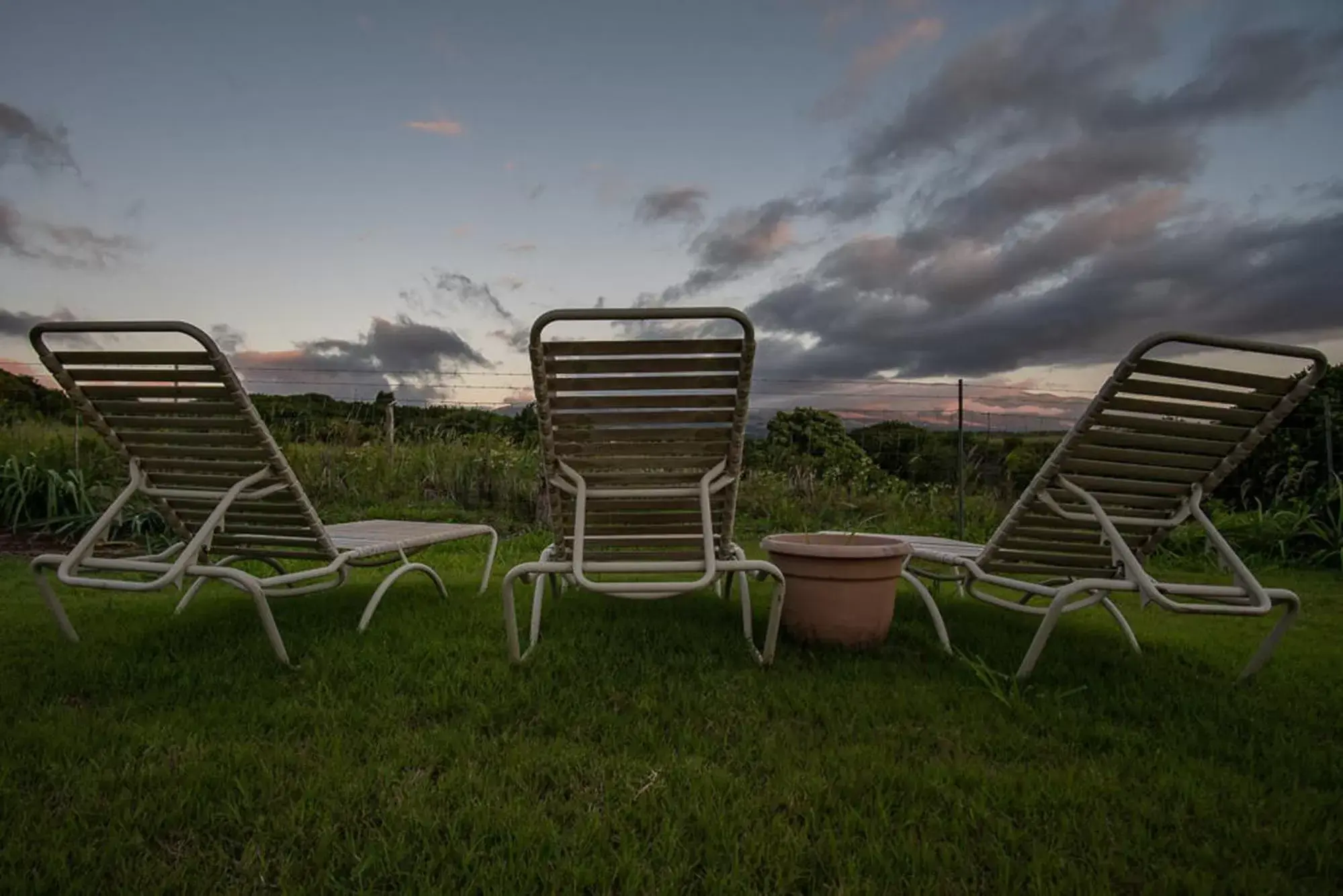 Garden in God's Peace of Maui