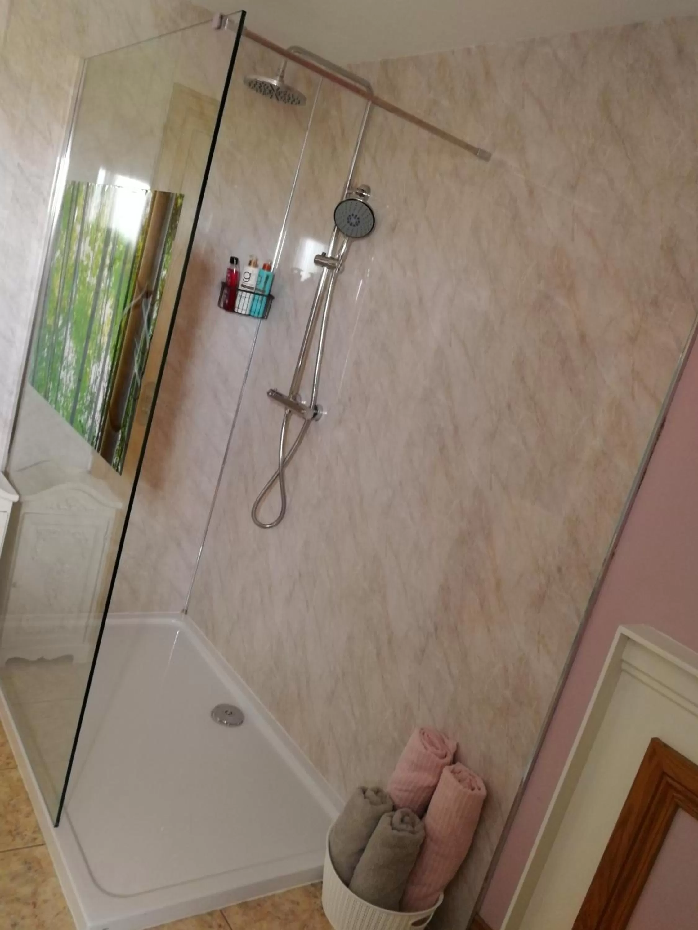 Shower in Carnately Lodge