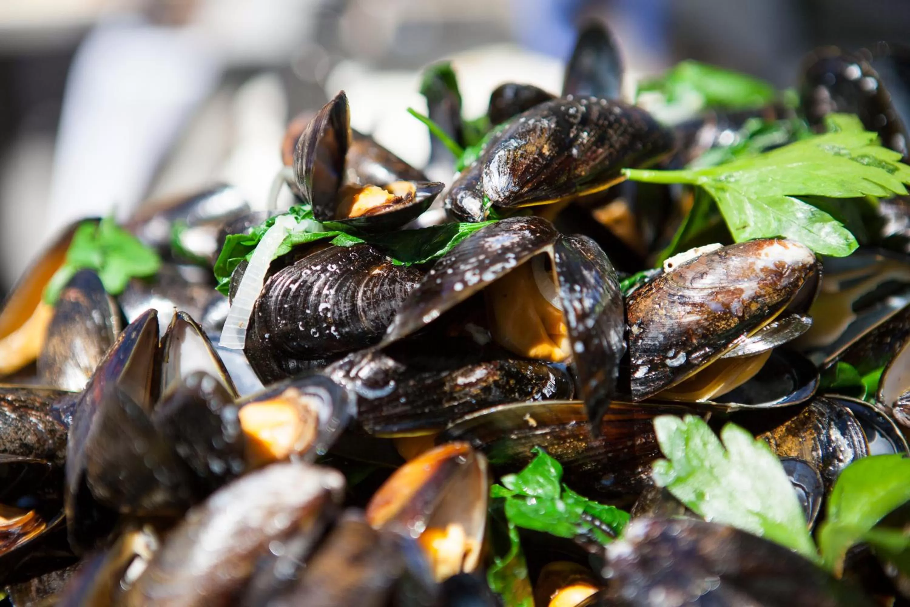 Restaurant/places to eat in Rosfjord Strandhotel