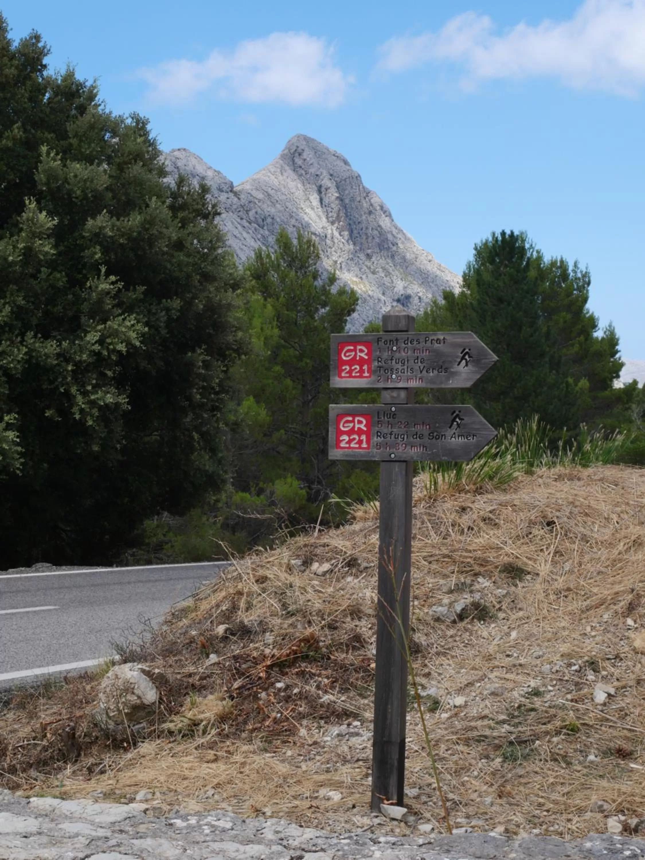 Natural landscape in Hotel Casa Bougainvillea