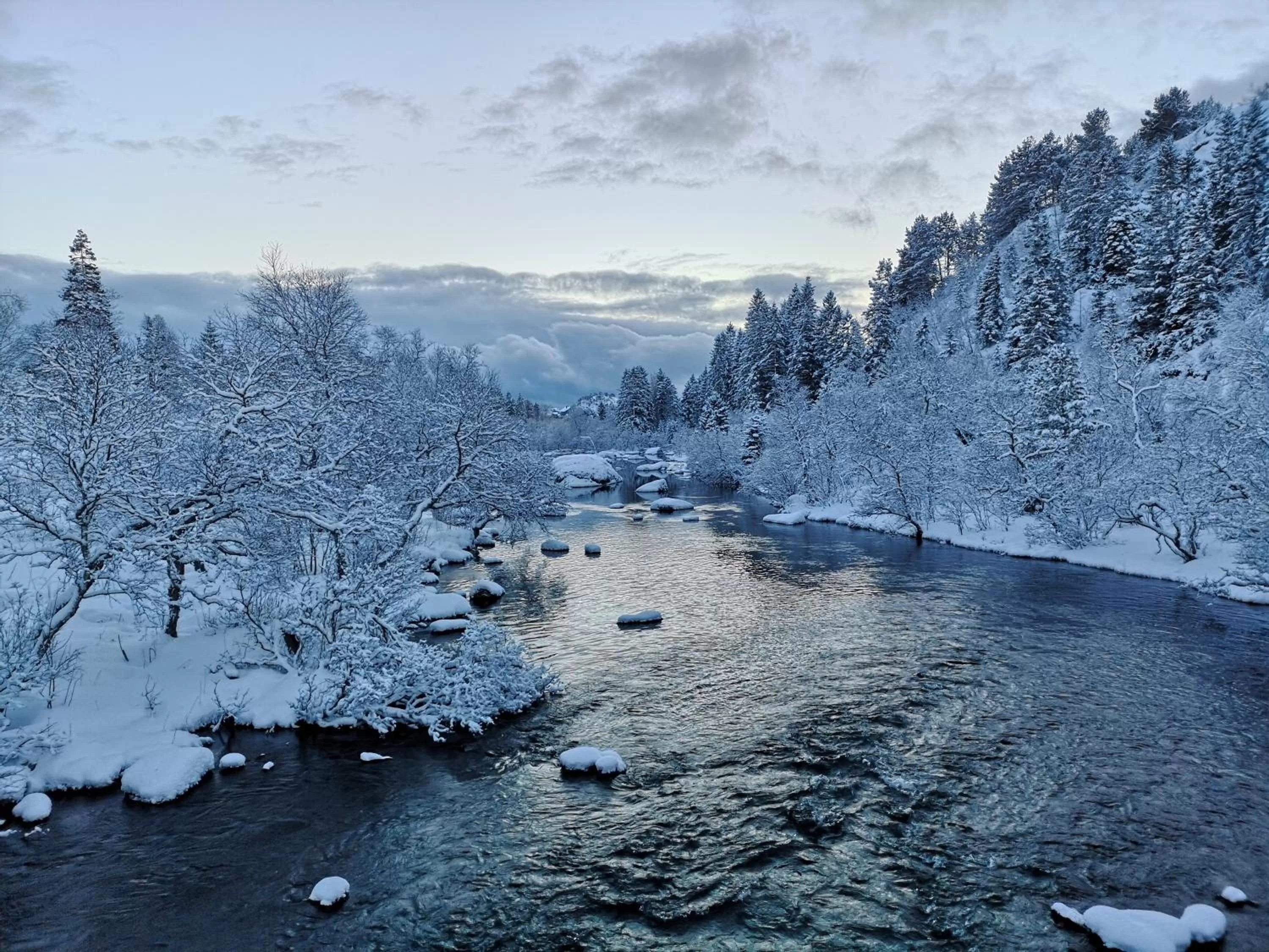 Natural landscape in Fast Hotel Svolvær