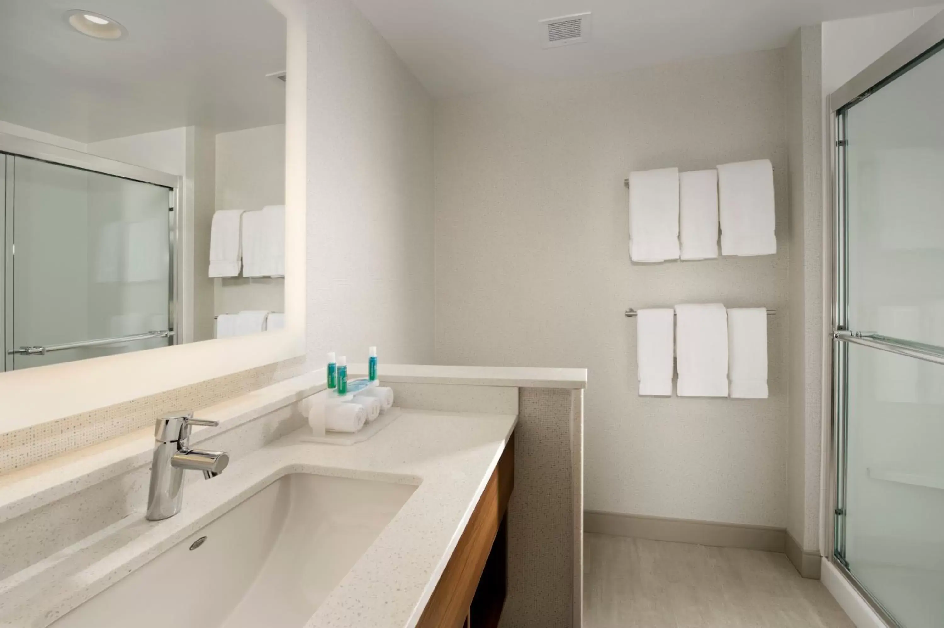 Photo of the whole room, Bathroom in Holiday Inn Express & Suites by IHG Altoona, an IHG Hotel