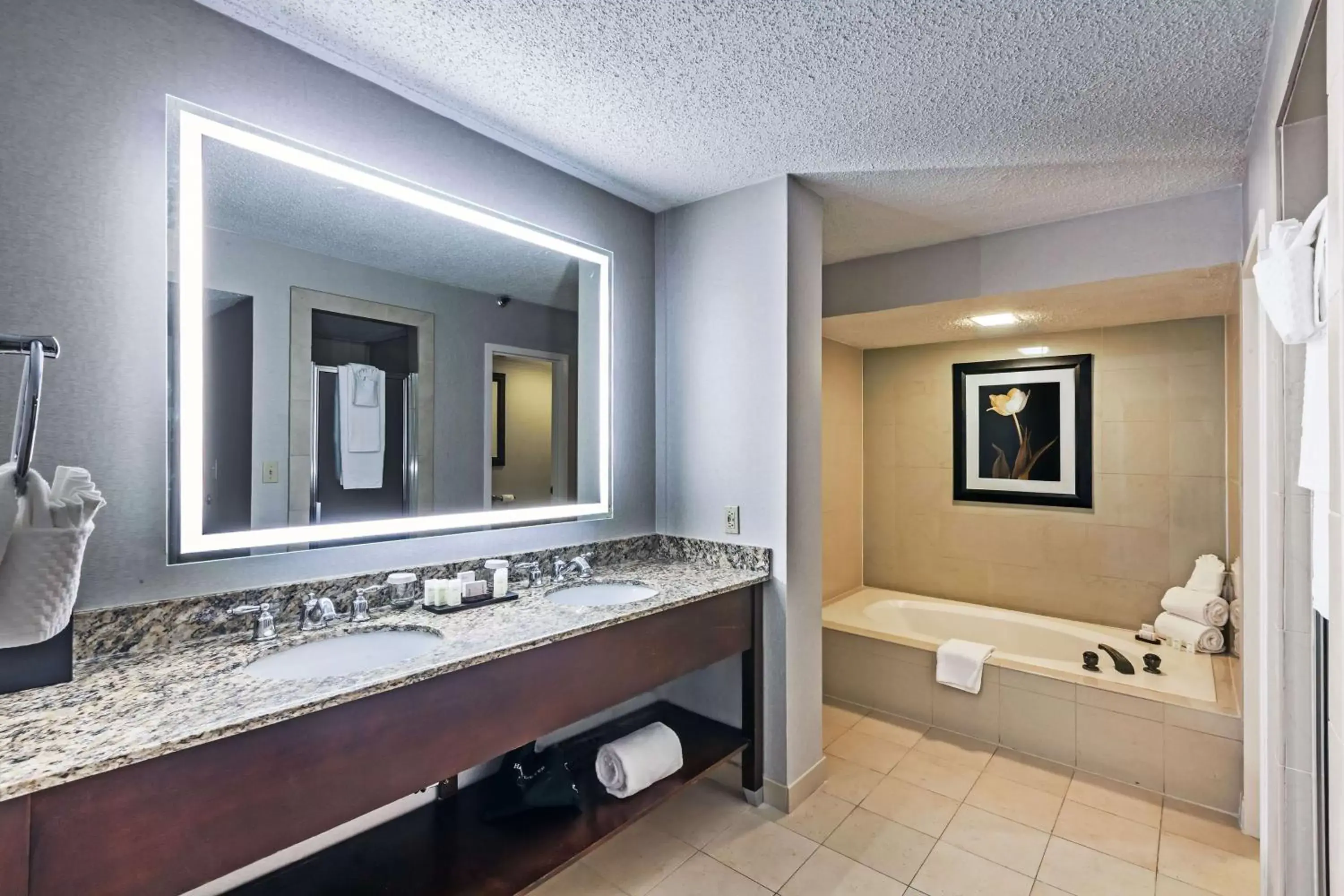 Bathroom in Embassy Suites by Hilton Dallas Market Center