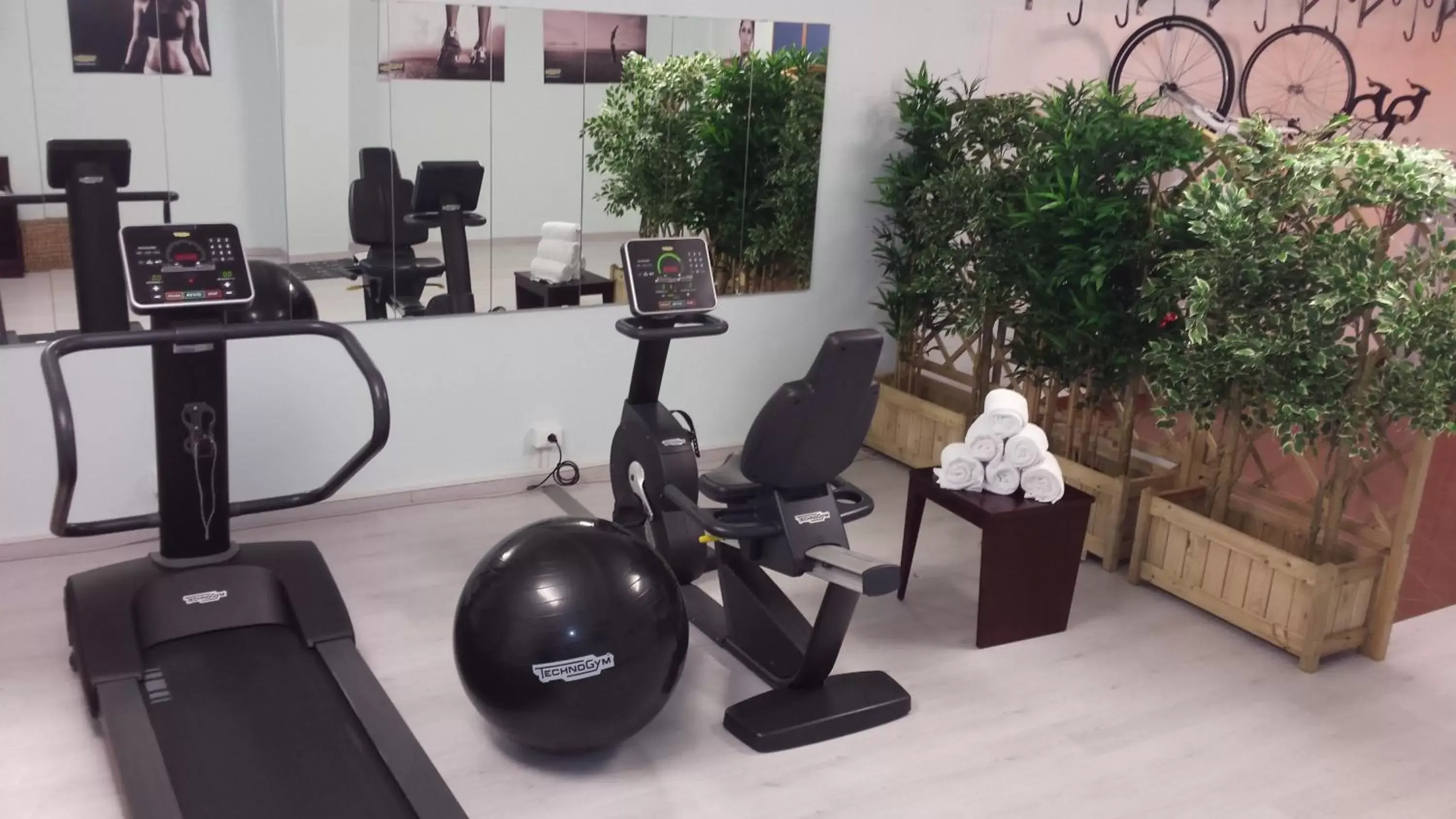 Fitness centre/facilities, Fitness Center/Facilities in Hotel Residence Esplanade