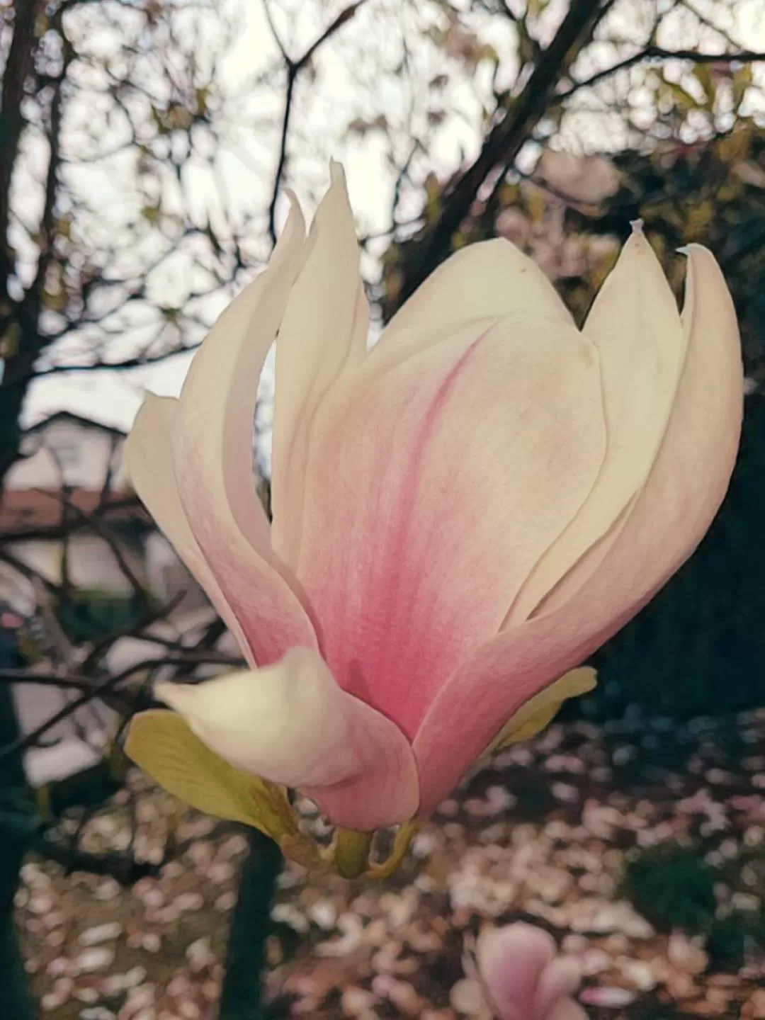 Spring in Kurhotel Anders