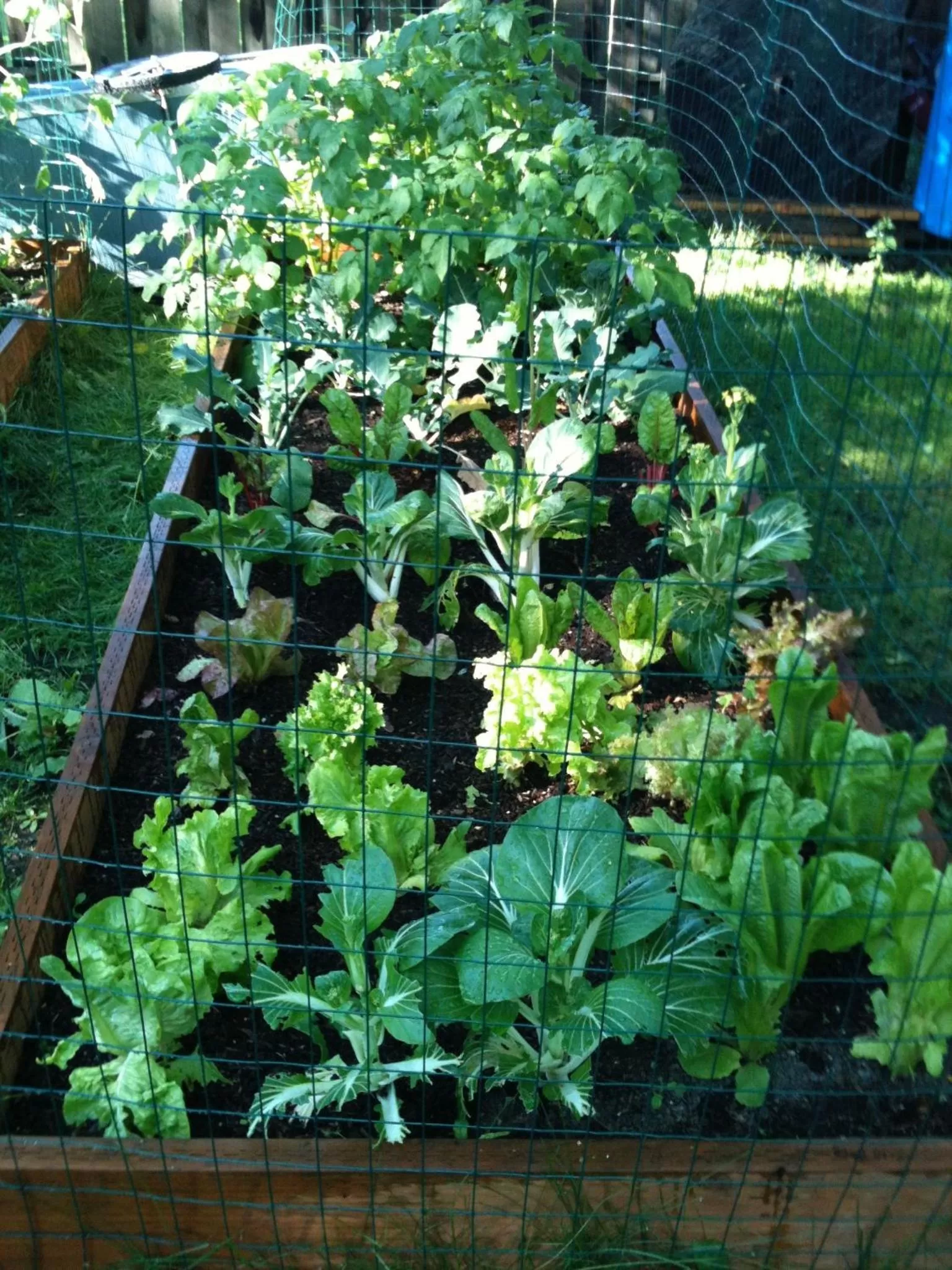 Garden in Gardenside Bed and Breakfast
