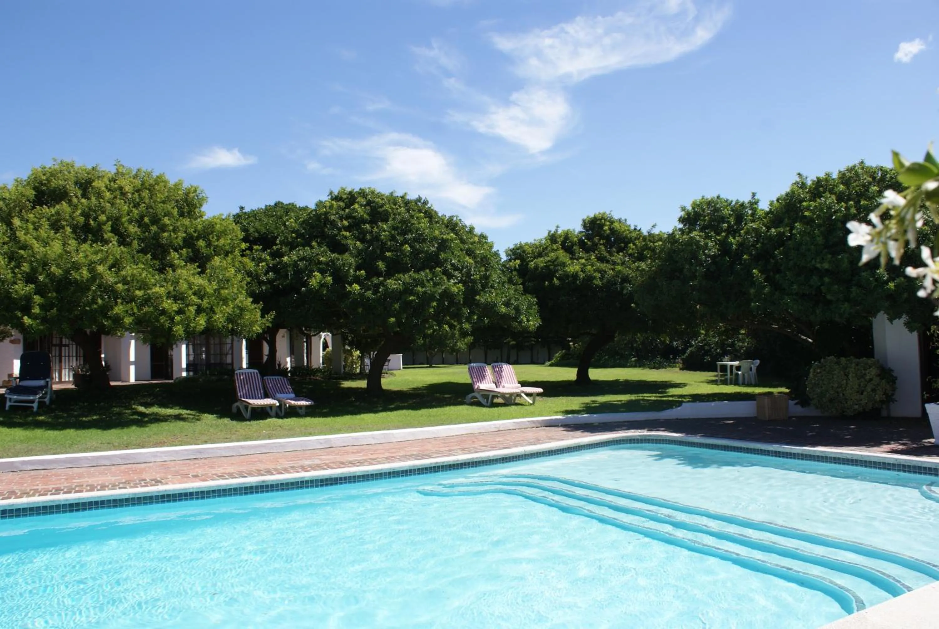 Garden in Whale Rock Luxury Lodge