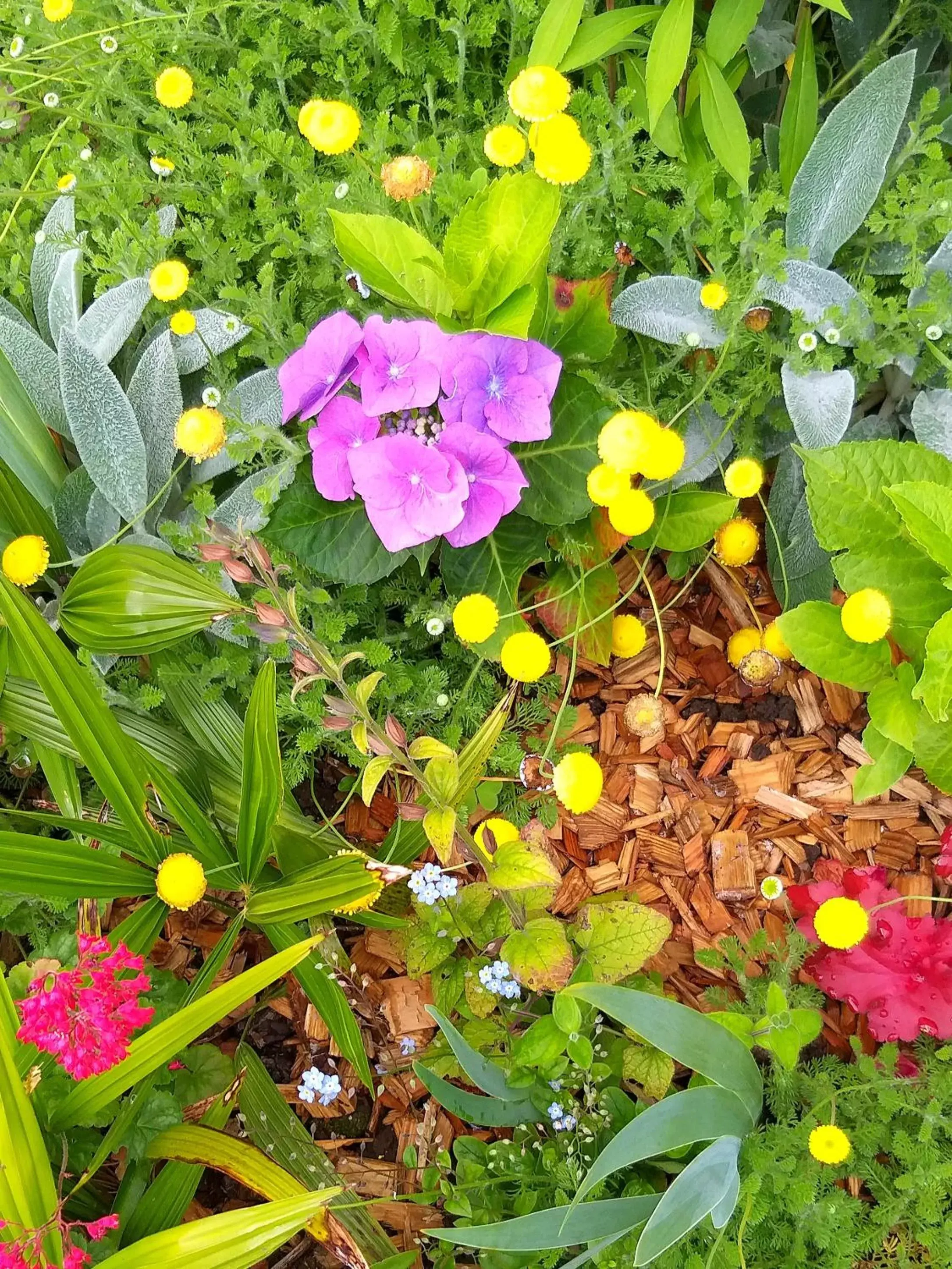 Garden in Hôtel Ginkgo - SPA Biloba