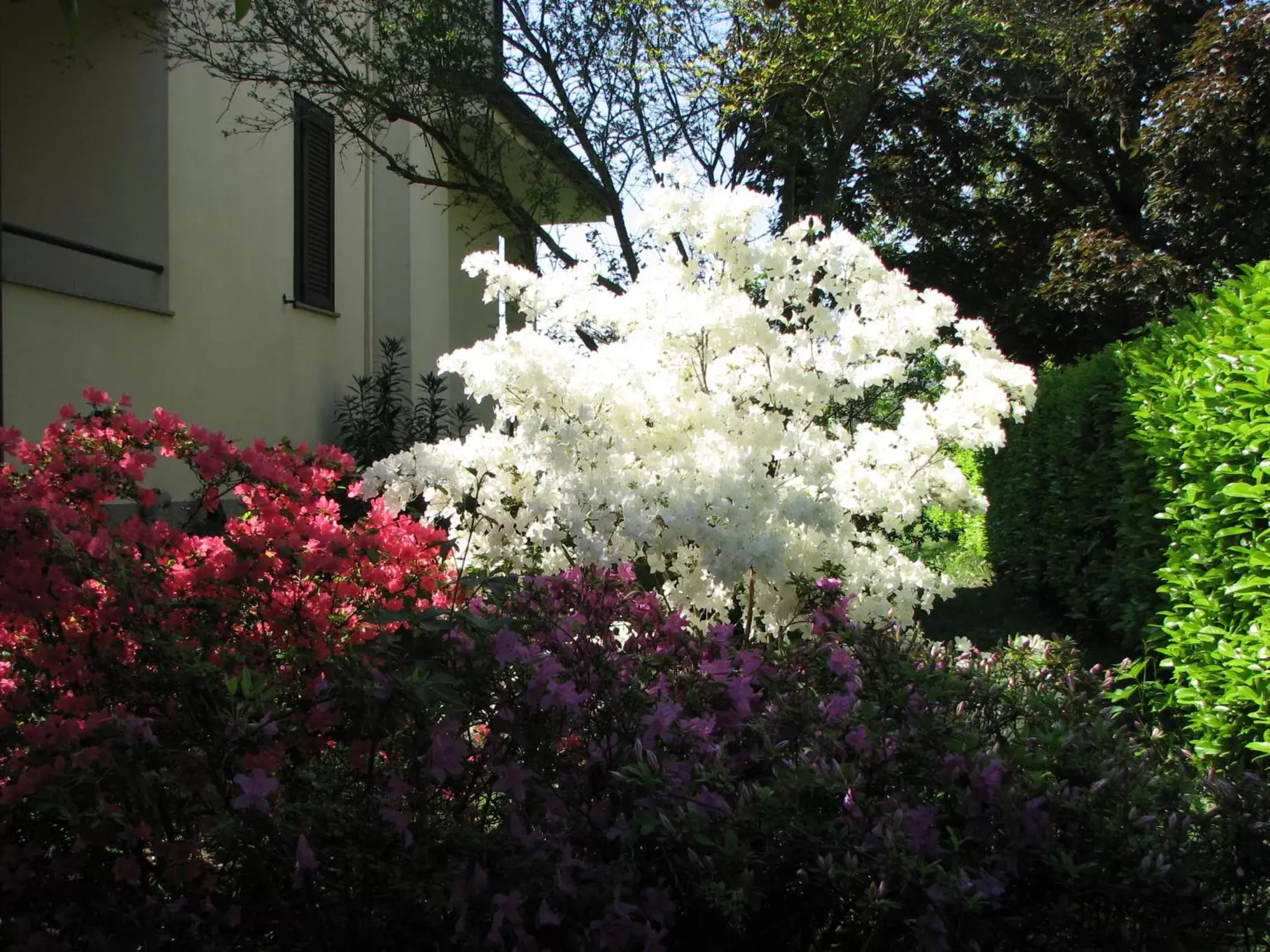 Spring, Garden in B&B Il Glicine di Basiglio