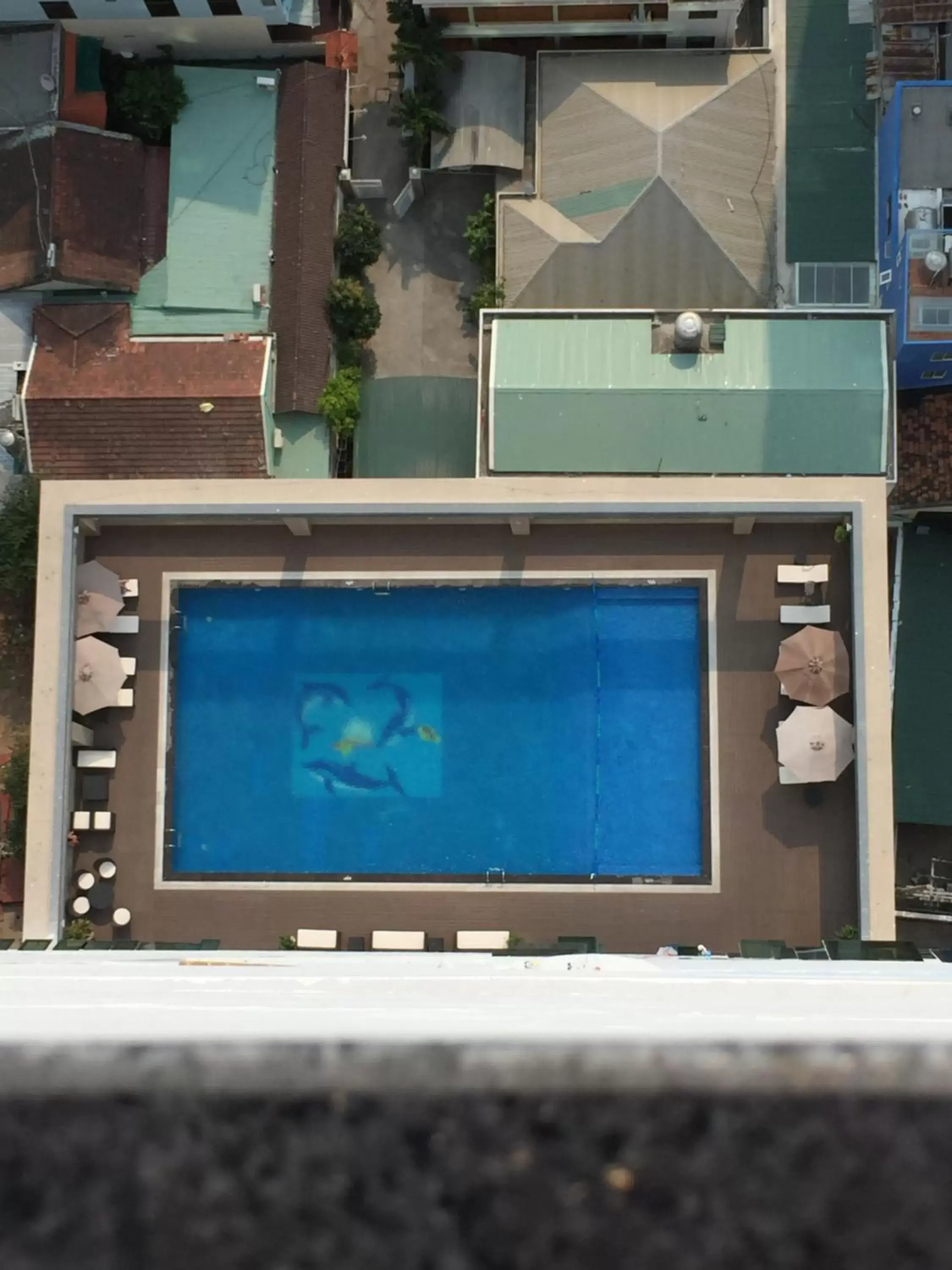 Swimming pool, Pool View in Gold Ocean Apartment