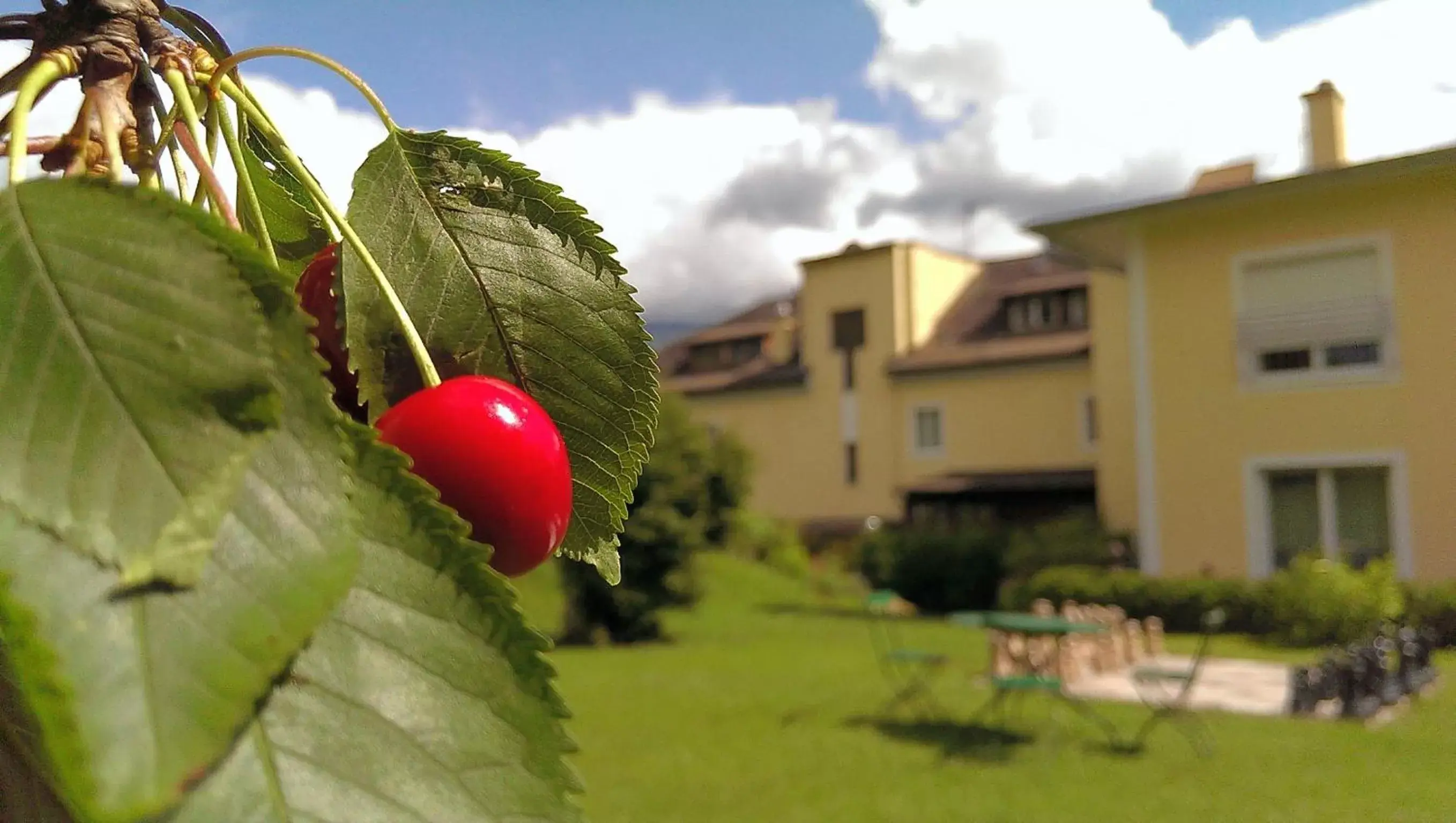 Garden, Property Building in Austria Classic Hotel Heiligkreuz