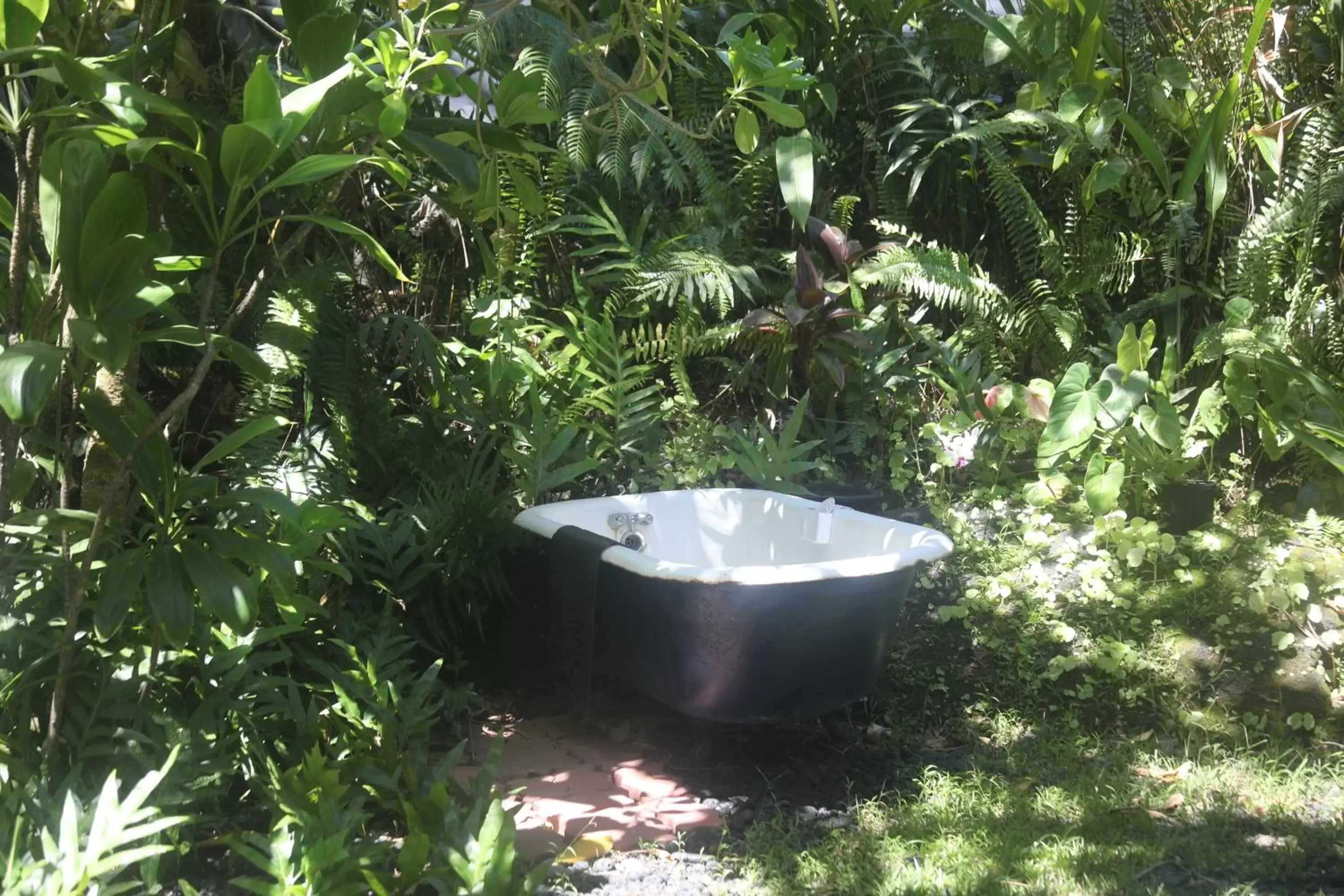 Garden in Ma'ukele Lodge