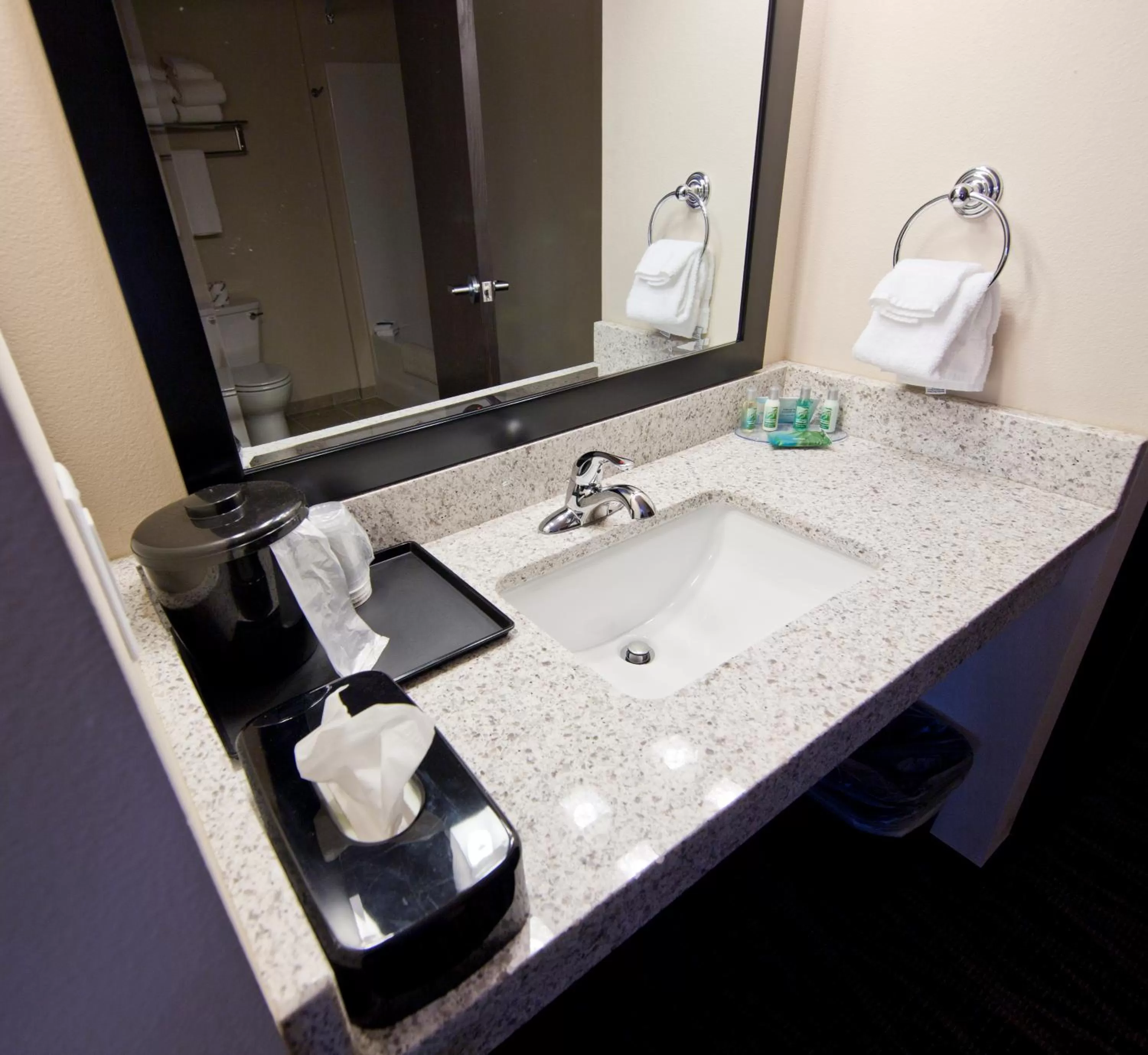 Bathroom in Cobblestone Inn & Suites - Boone