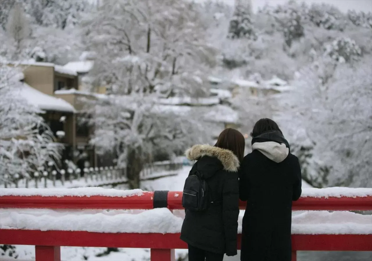 Winter in FAV HOTEL HIDATAKAYAMA West