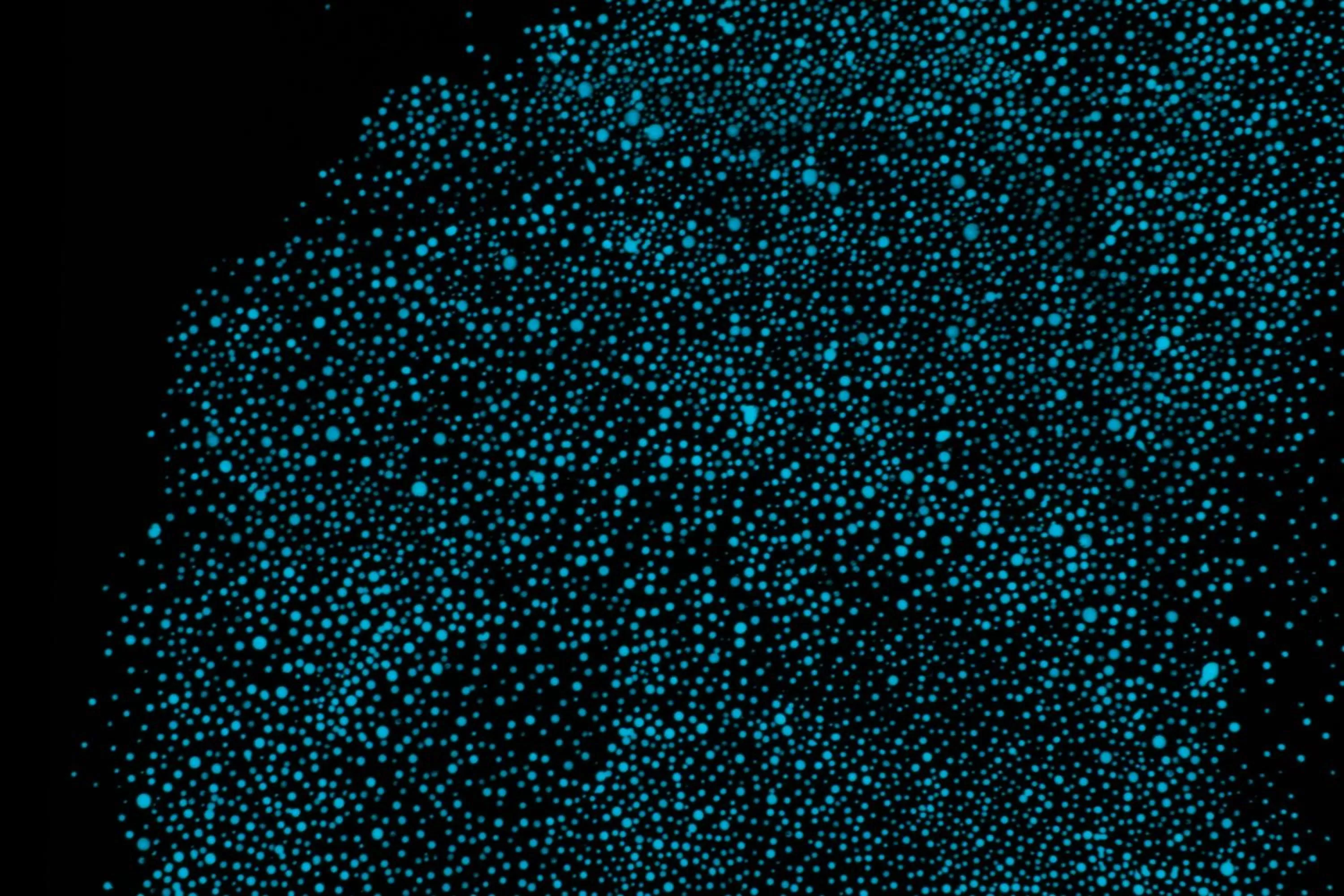 Photo of the whole room in BnA Alter Museum